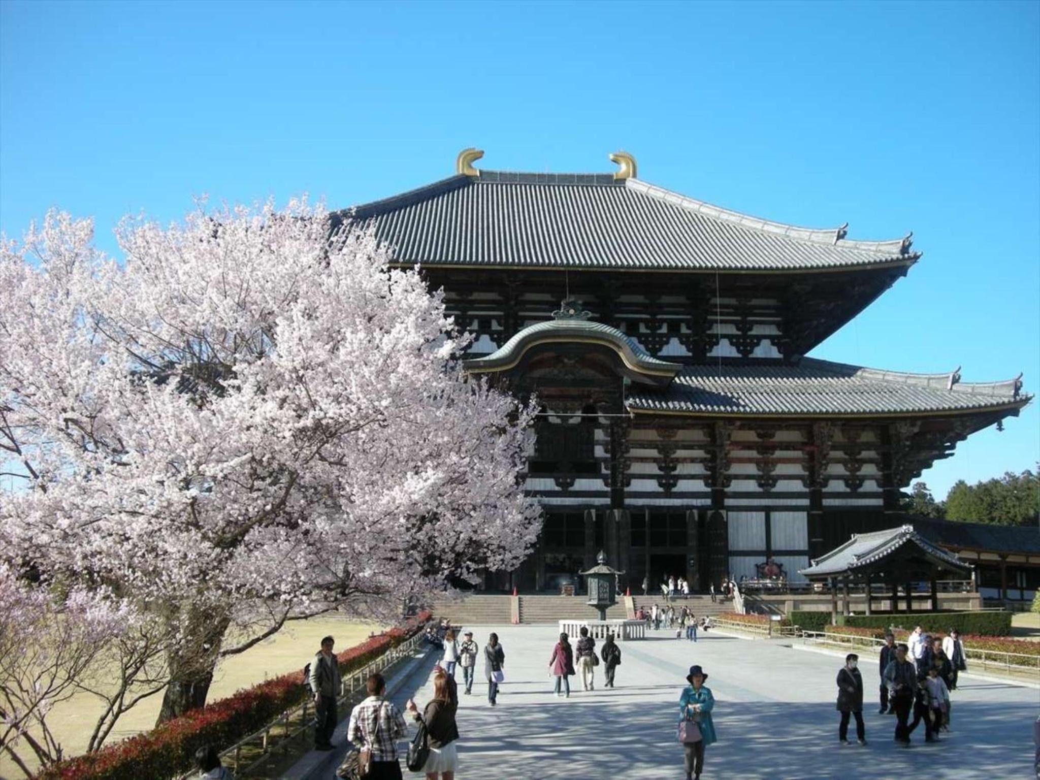 Hotel New Wakasa, photo 70