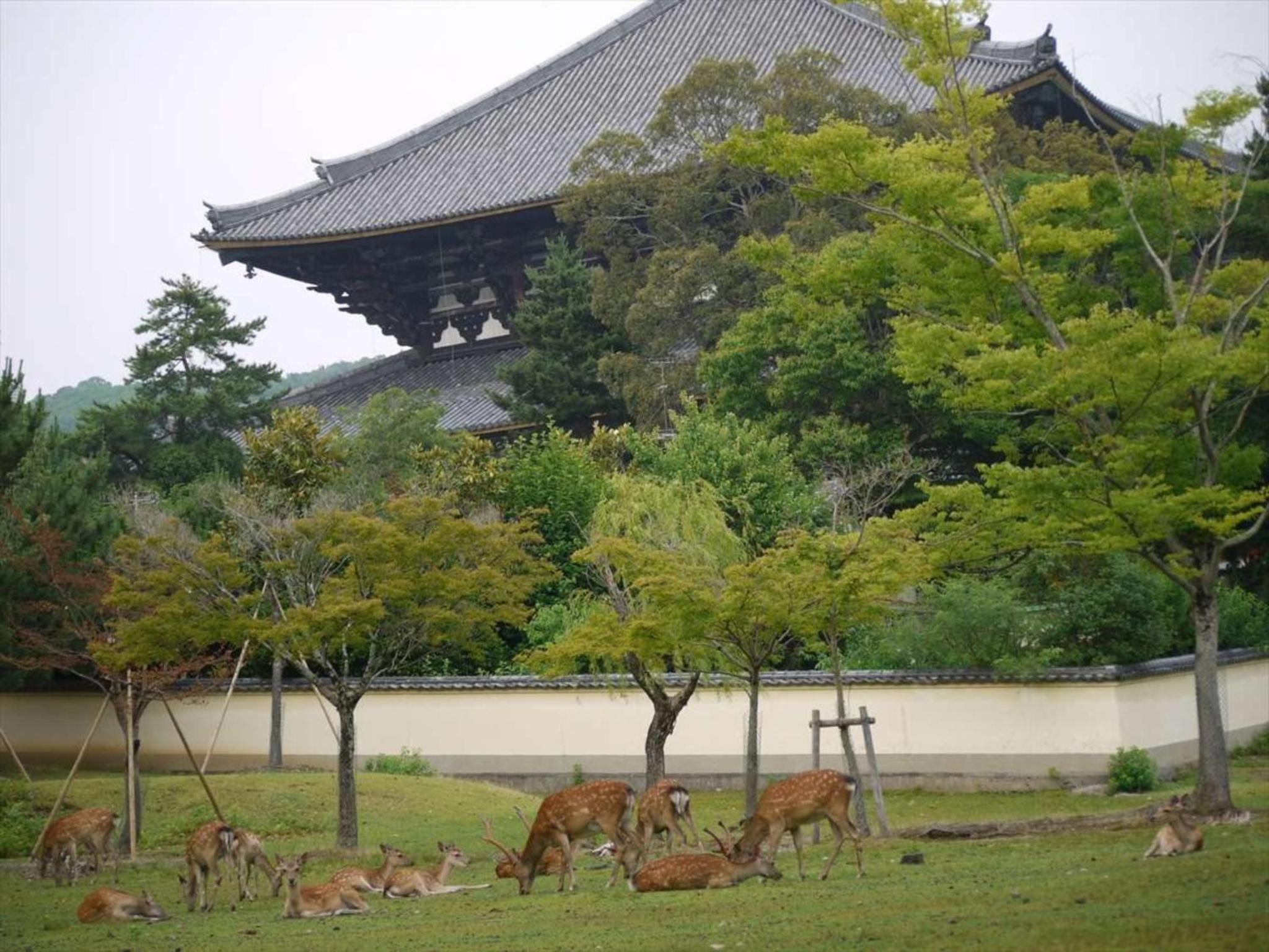 Hotel New Wakasa, photo 63