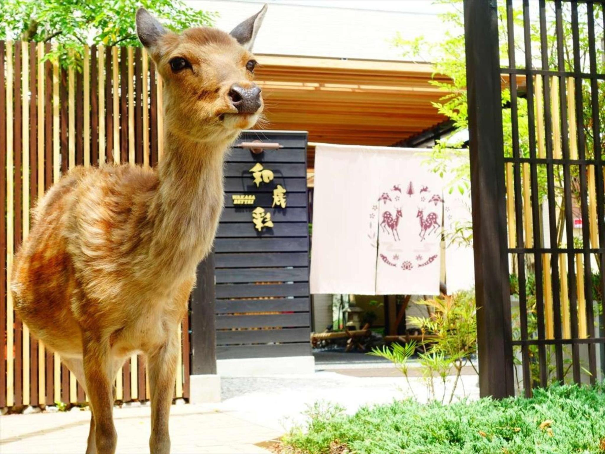 Hotel New Wakasa, photo 200