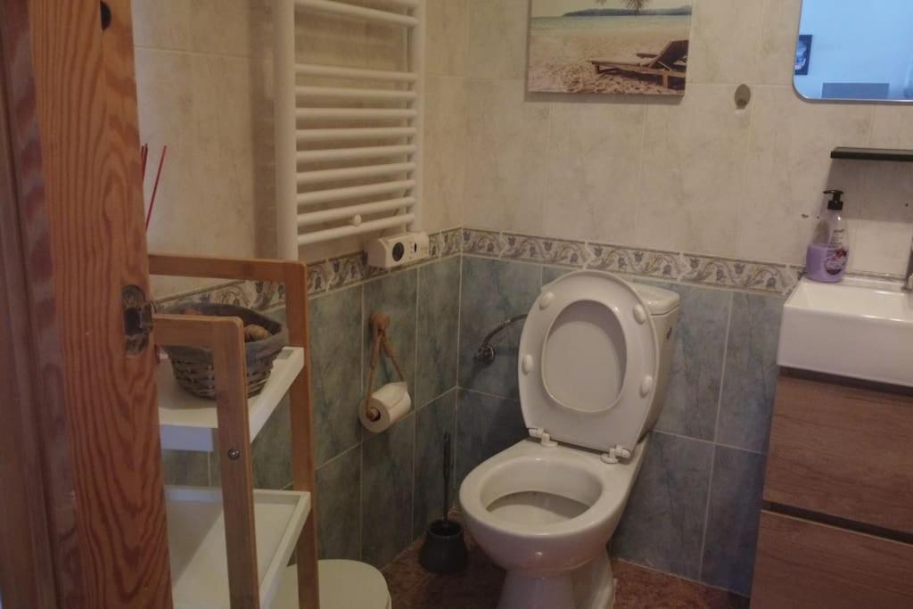 Casita Stam Orihuela