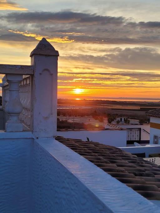 Casita Stam Orihuela