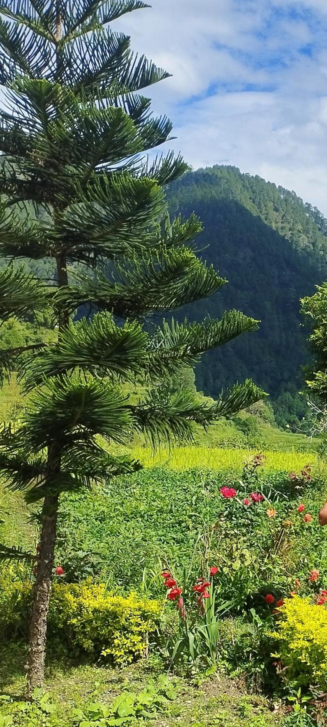 Kavyashree Homestay