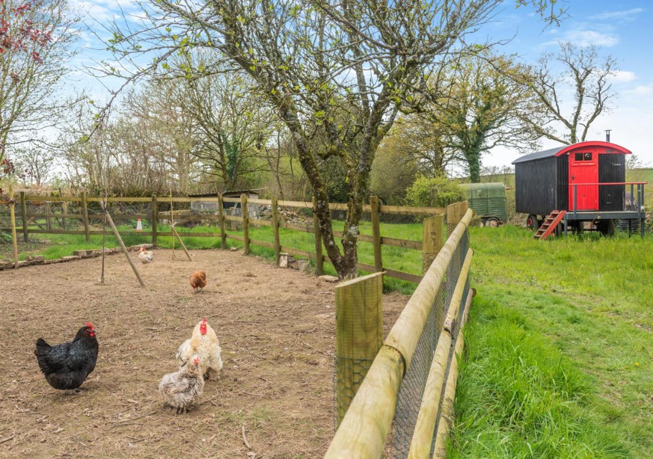 3 Bed in Meshaw oc-d29056