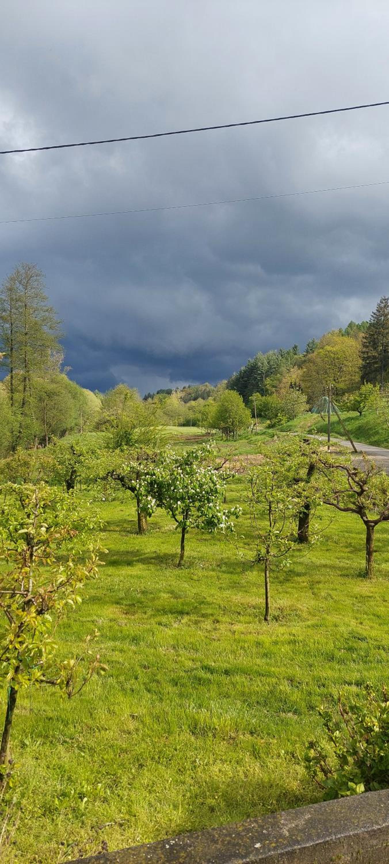 Farm Stay Ivankotovi
