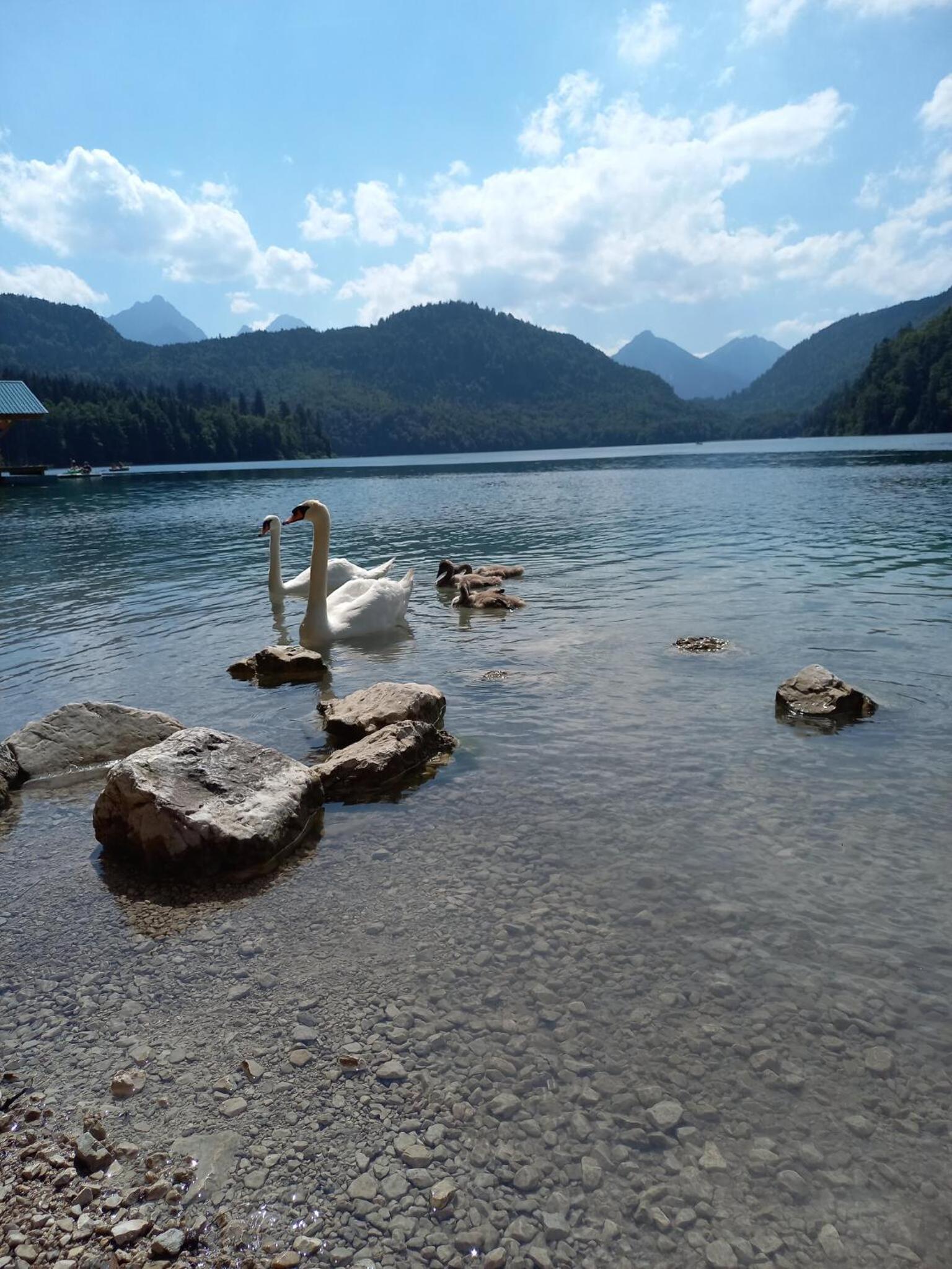 Ferien Bei Mari