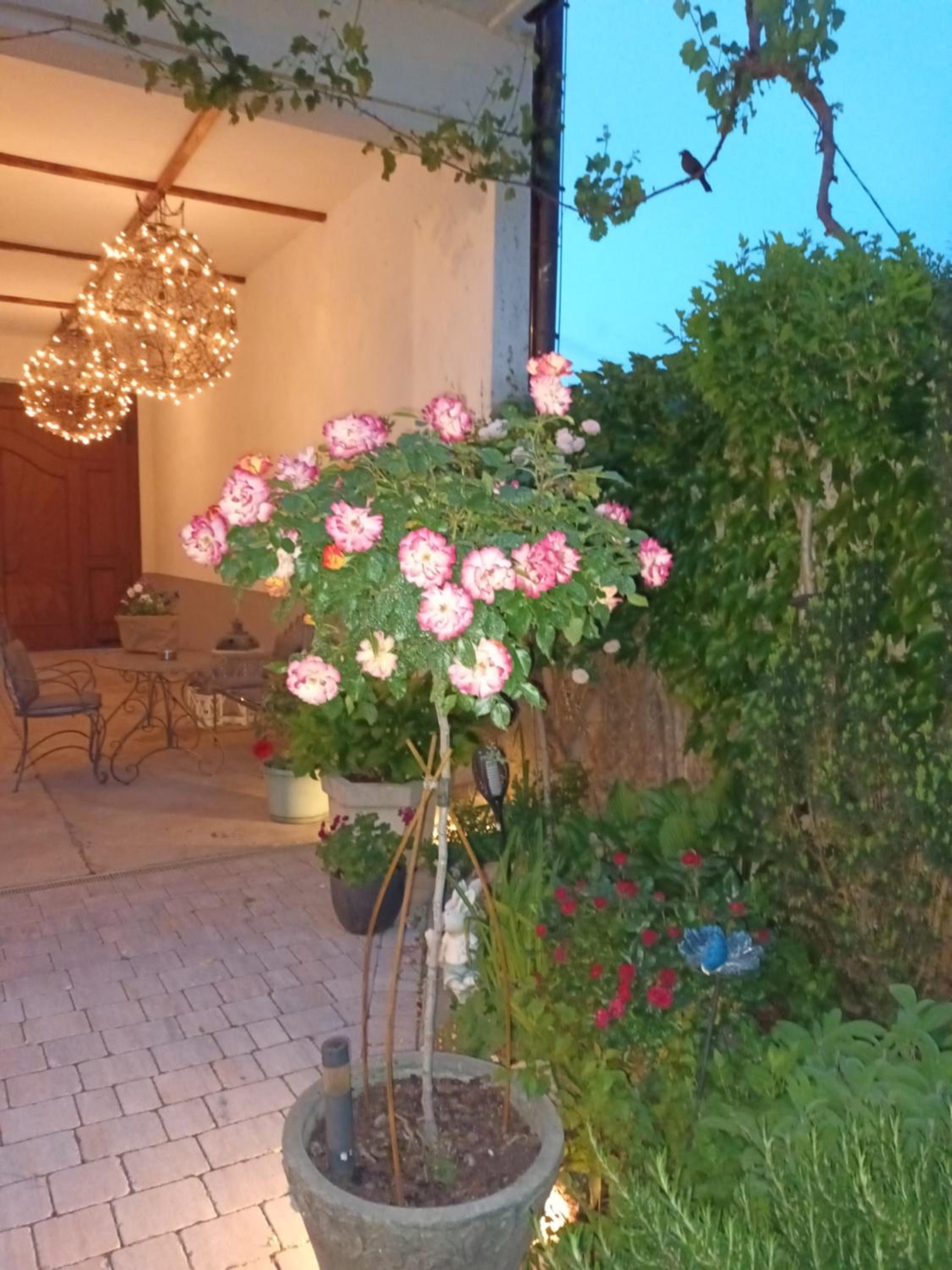 Pension Amelie