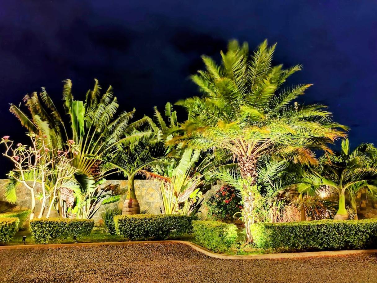 Coconut Lodge Open-Plan Suite with Kitchen, Indoor & Outdoor Showers & Infinity Pool photo 3