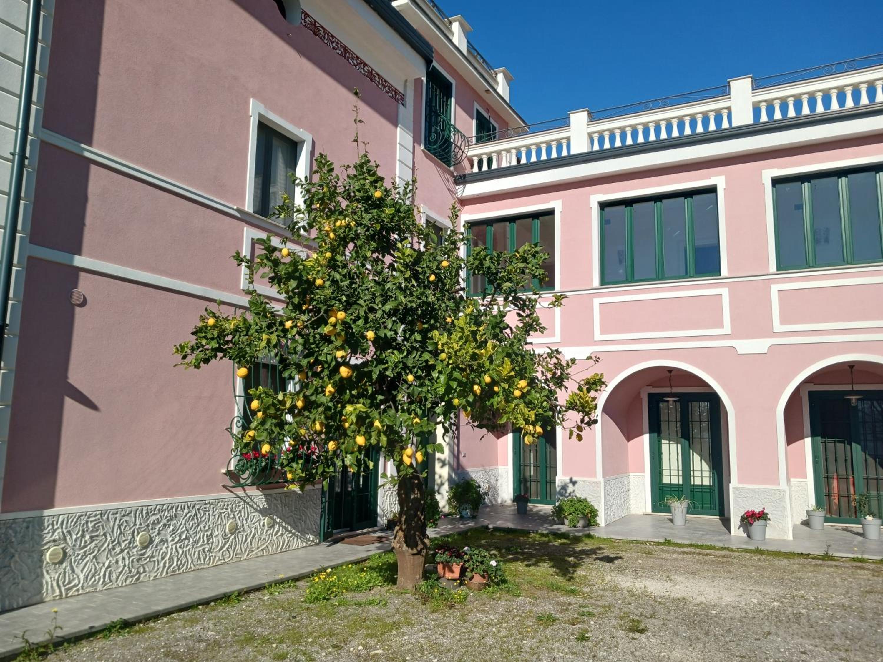 Guest House Cifrino photo 4