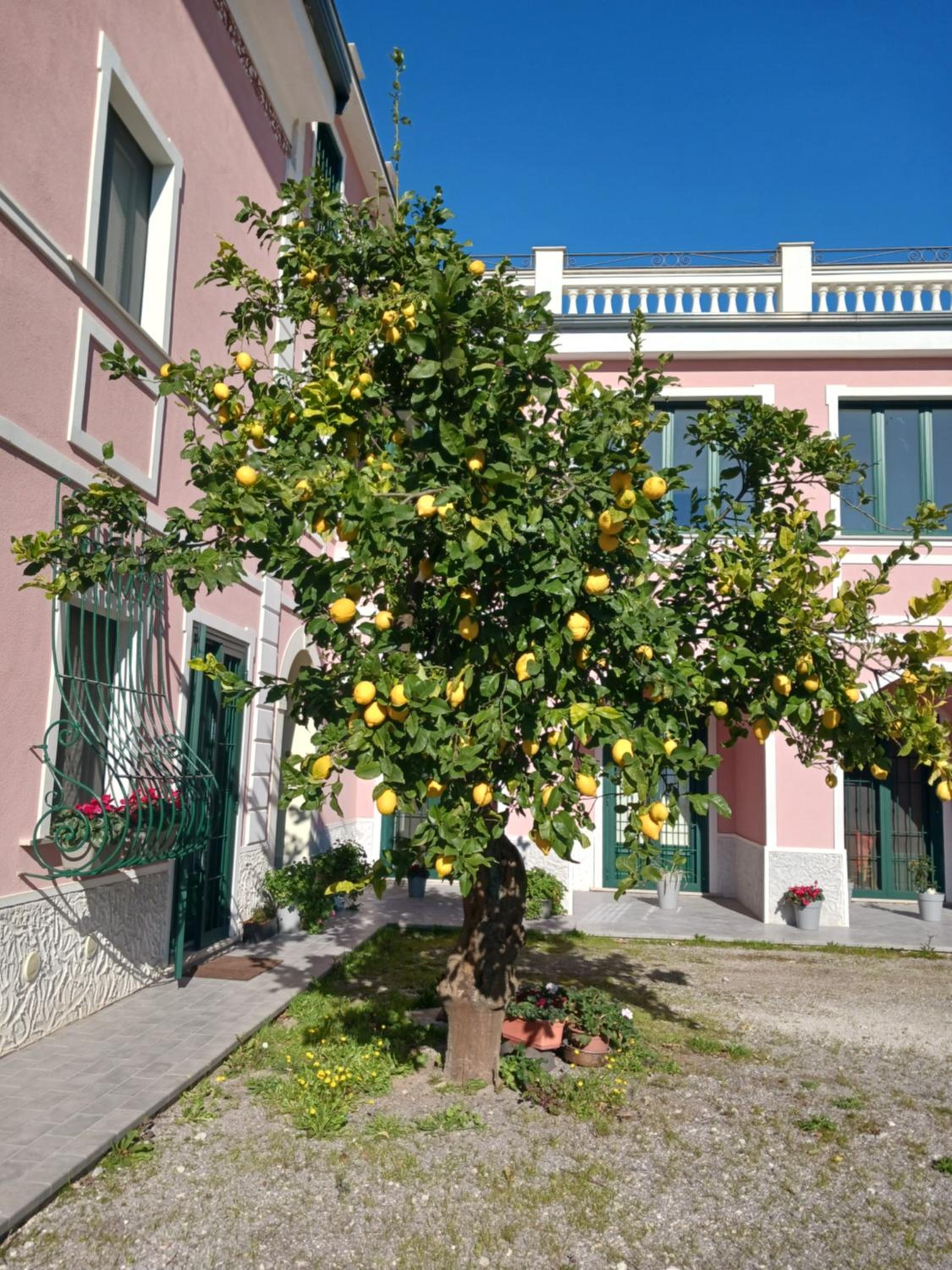 Guest House Cifrino photo 5