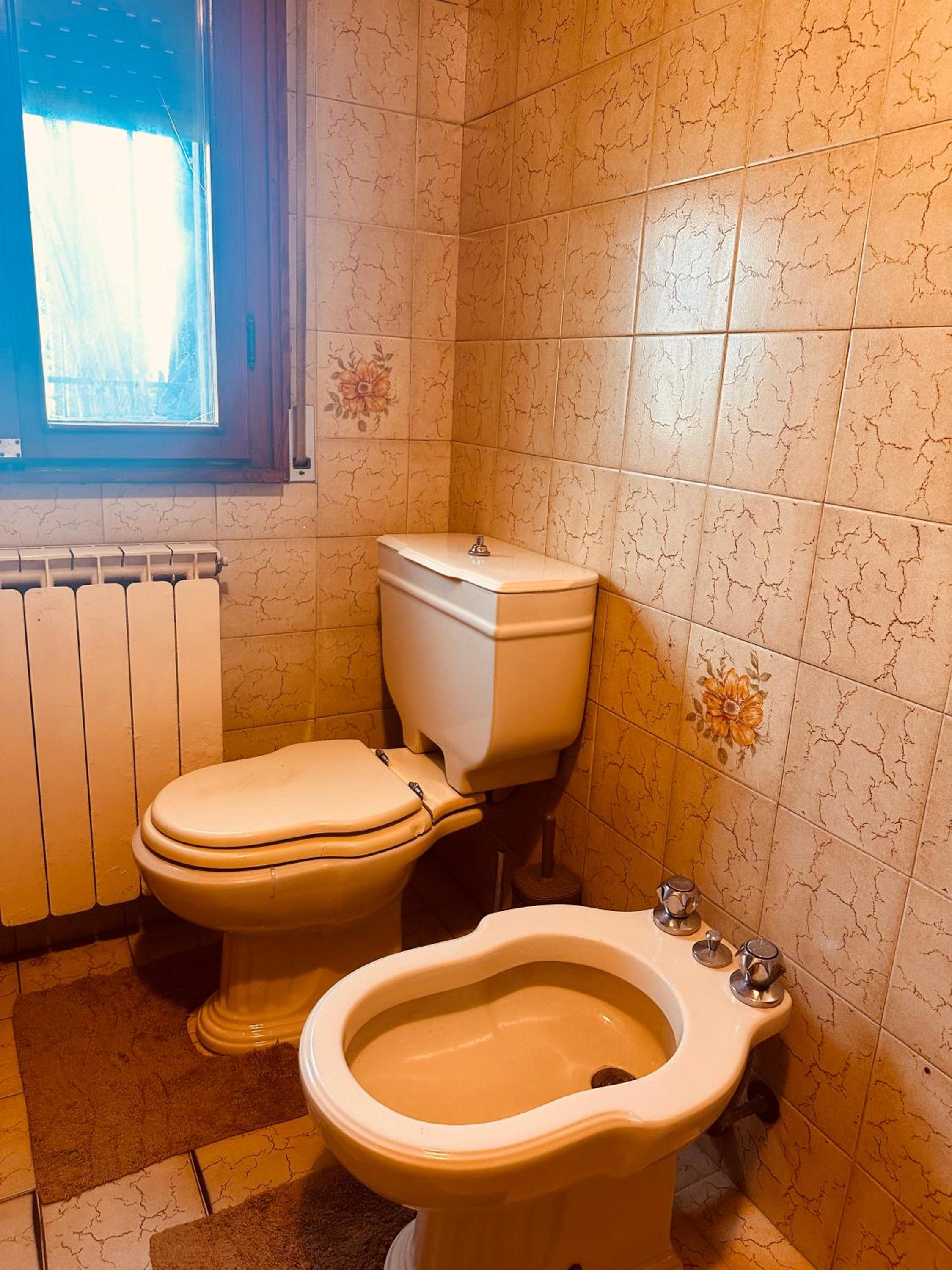 Vila Romaneasca