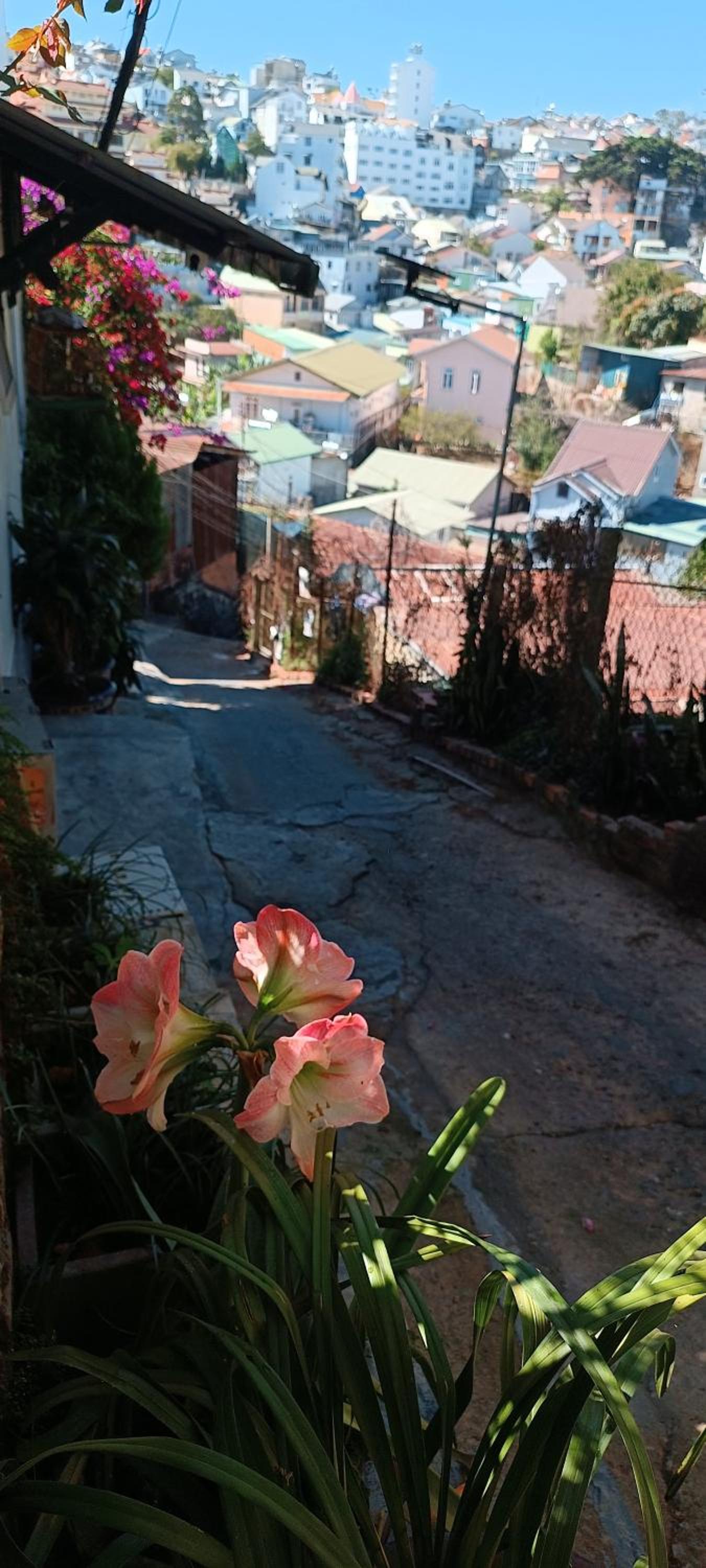 Photo 45