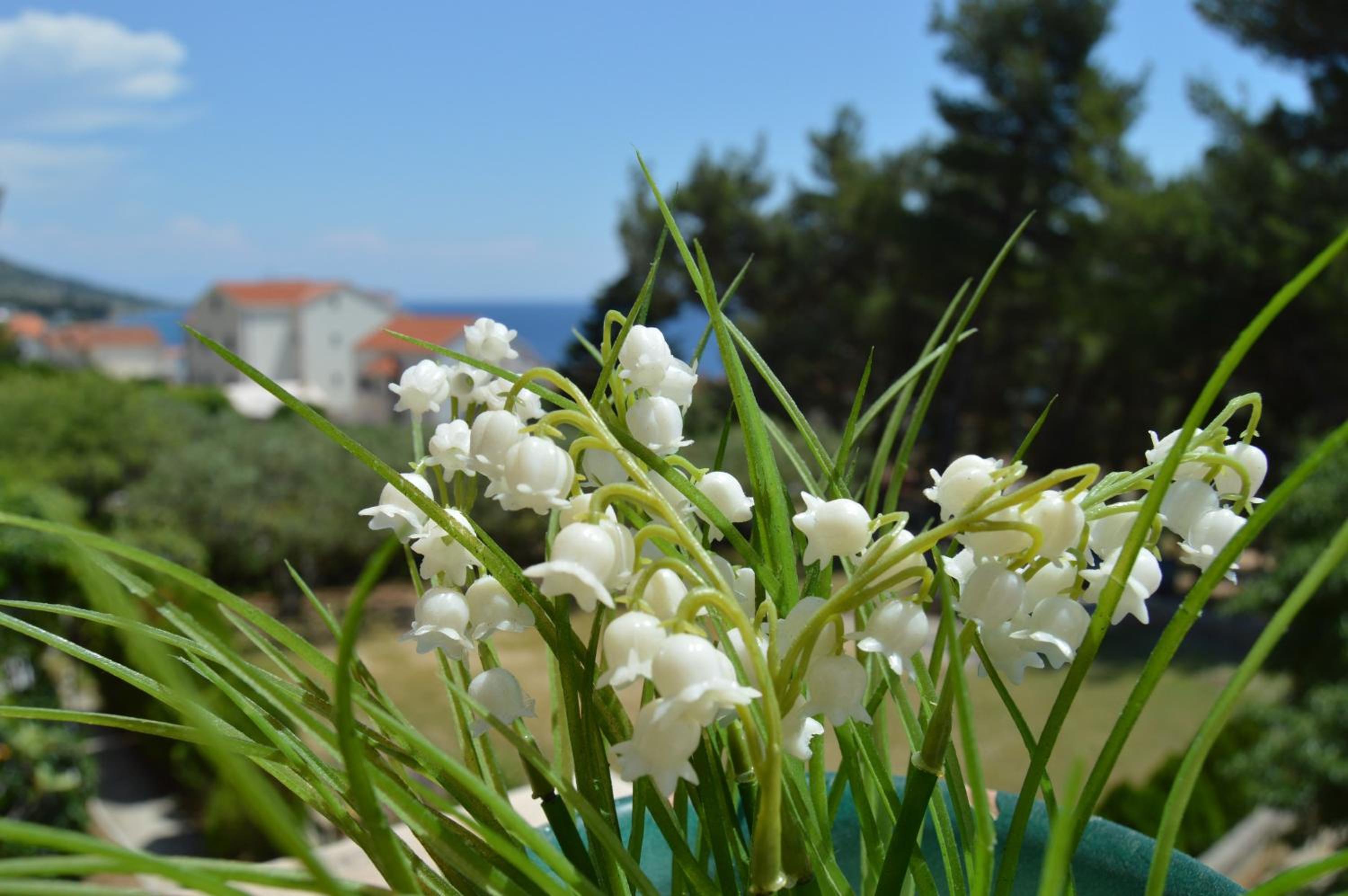 Apartment Nedica
