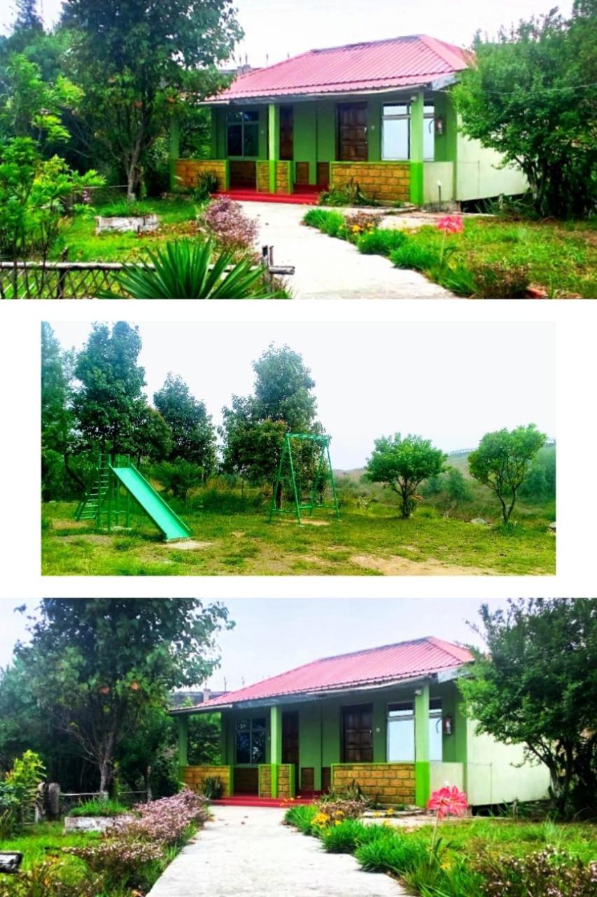 Photo 46