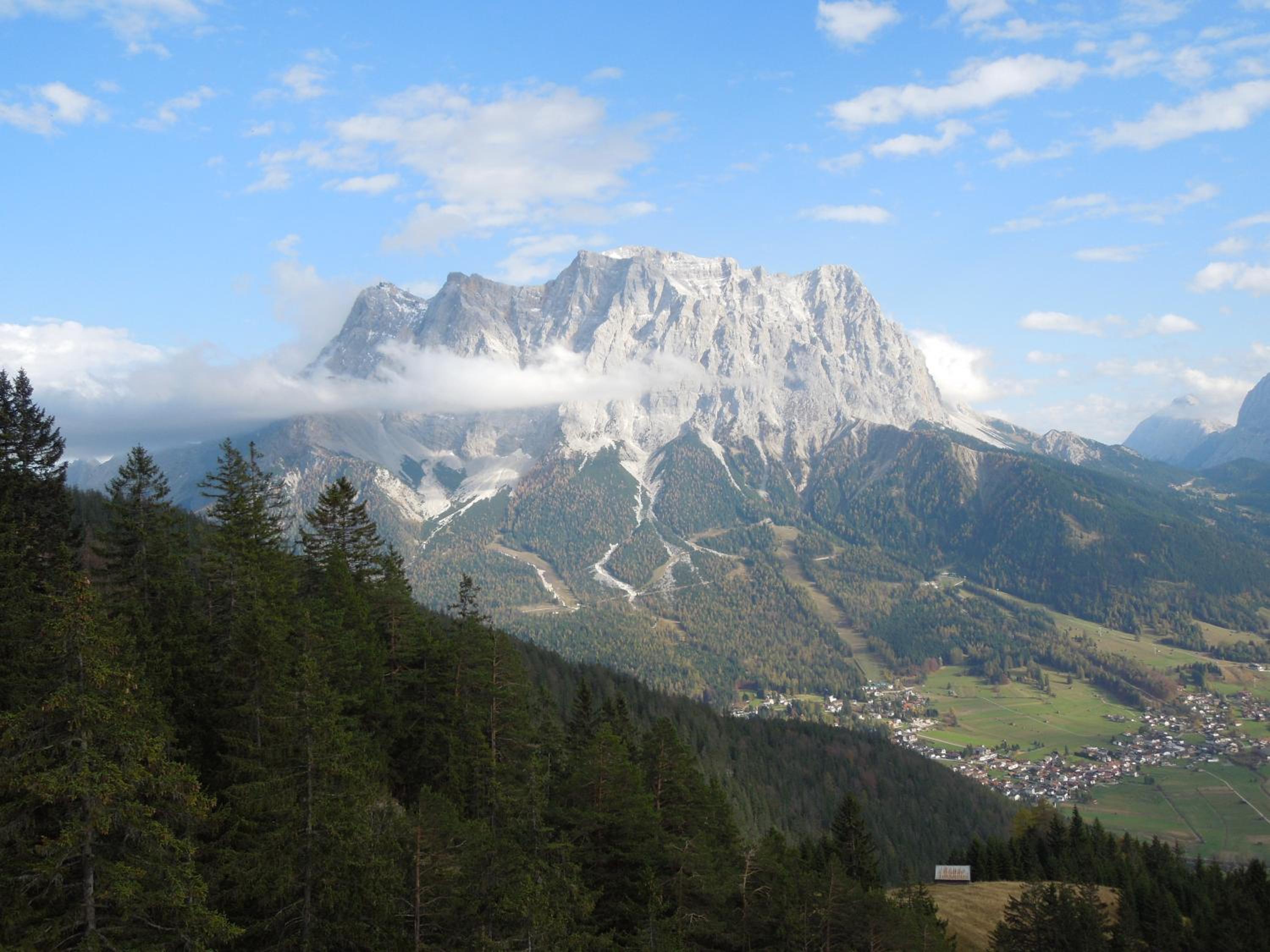 Photo 45