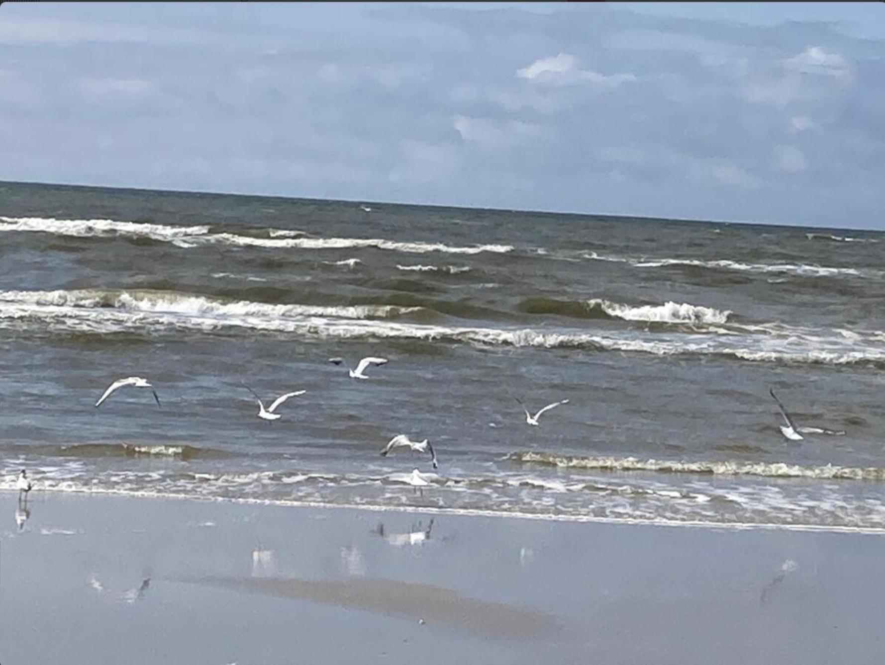 other