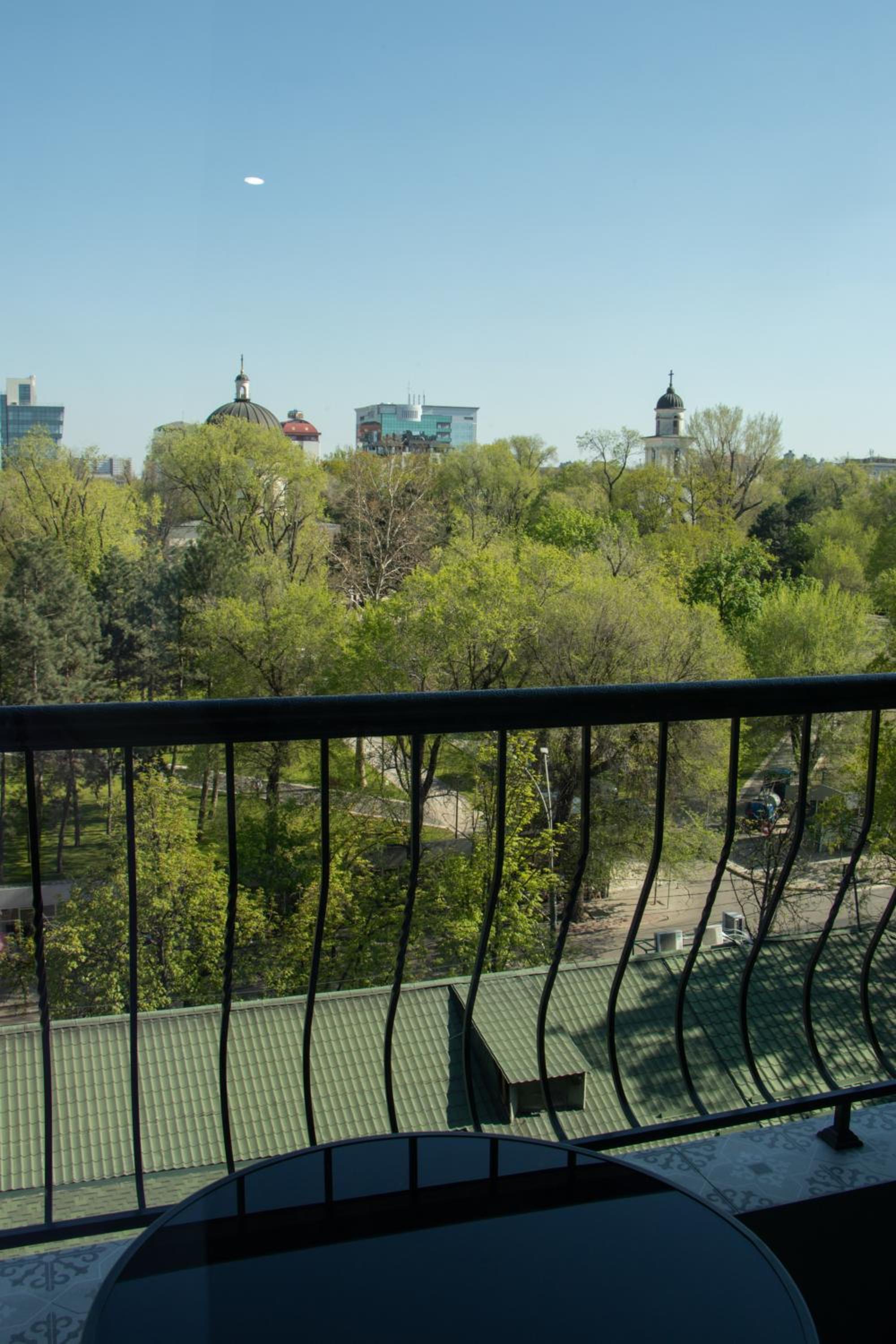 Central City Park Panorama View view 5
