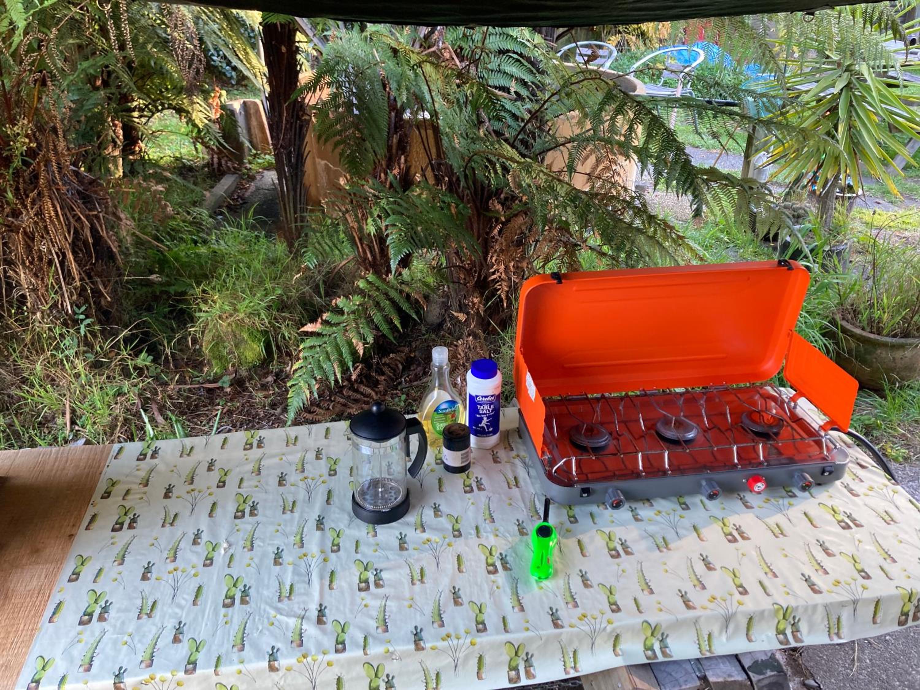 Whare&geothermal pool by lake Taupo