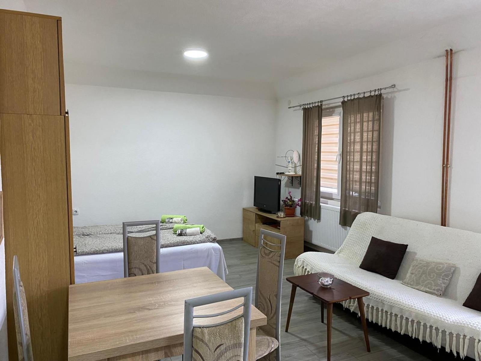 Petković apartman view 5