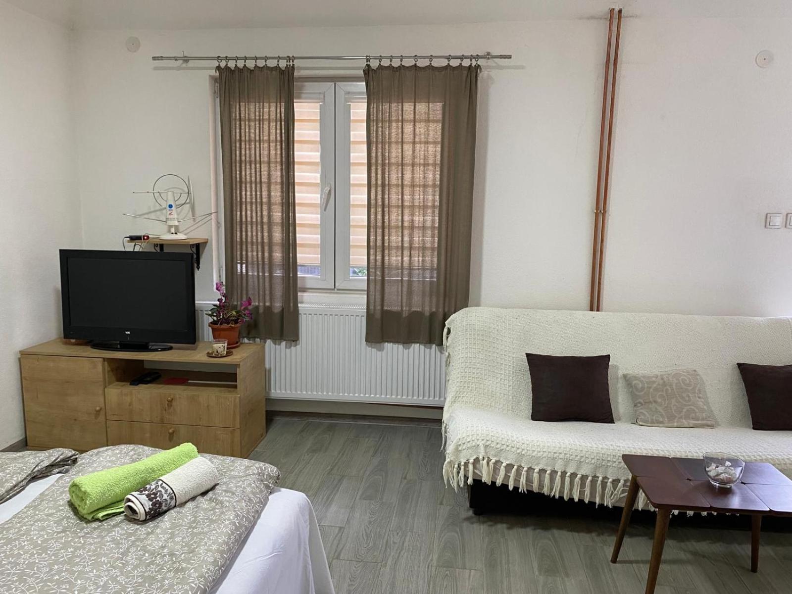 Petković apartman view 2