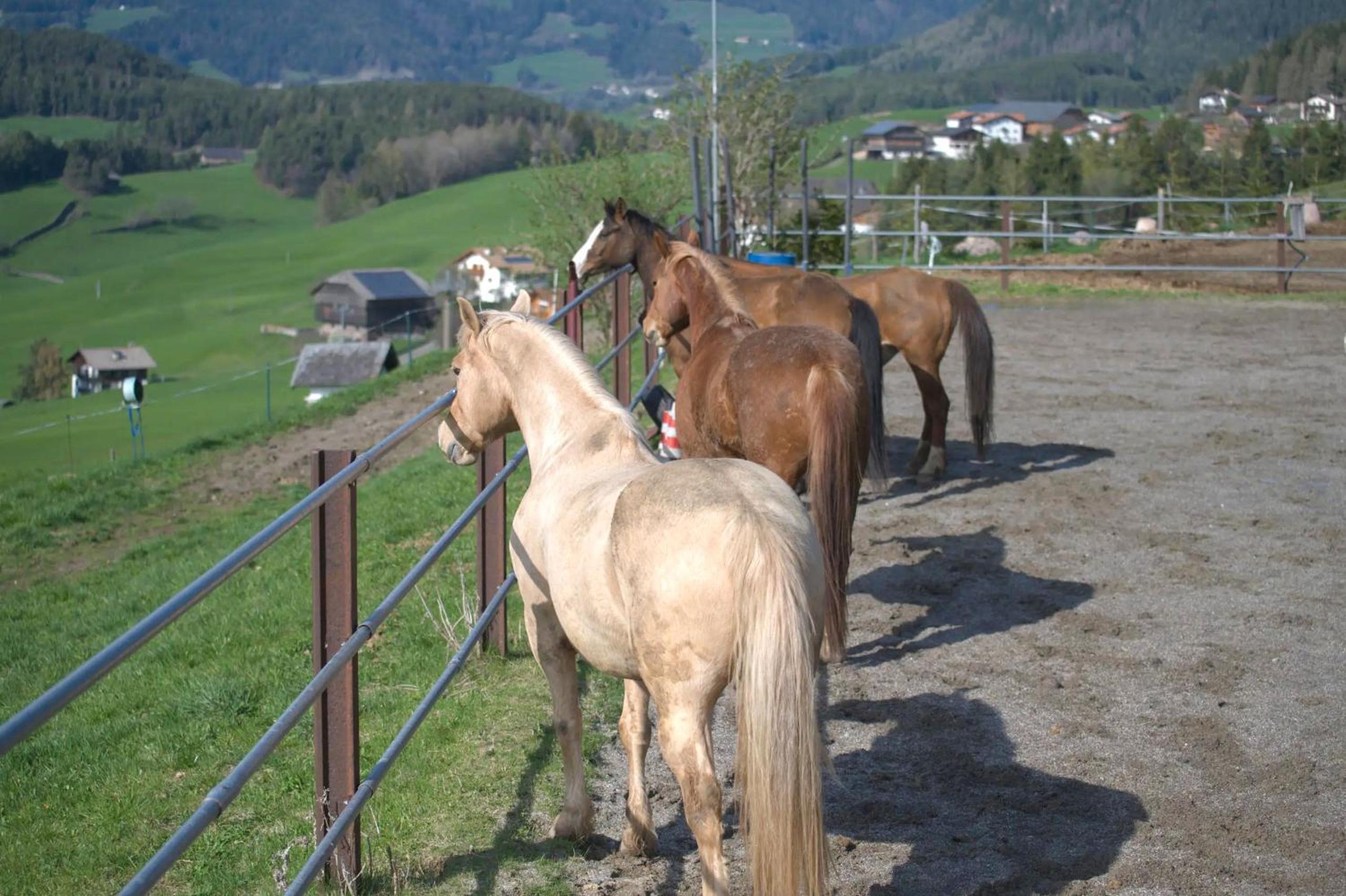 Gunzhof