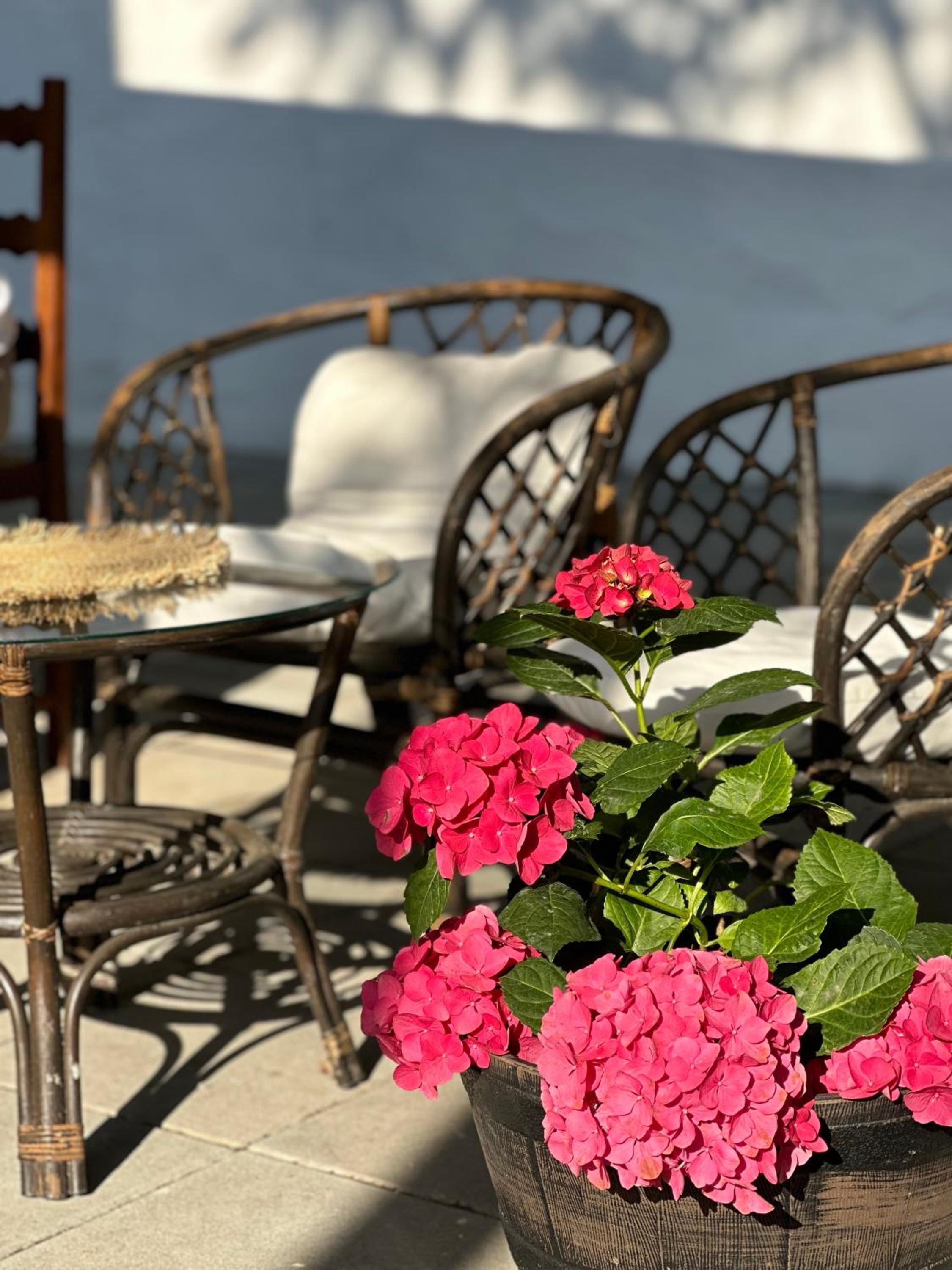 IRB Guest House Emona 4