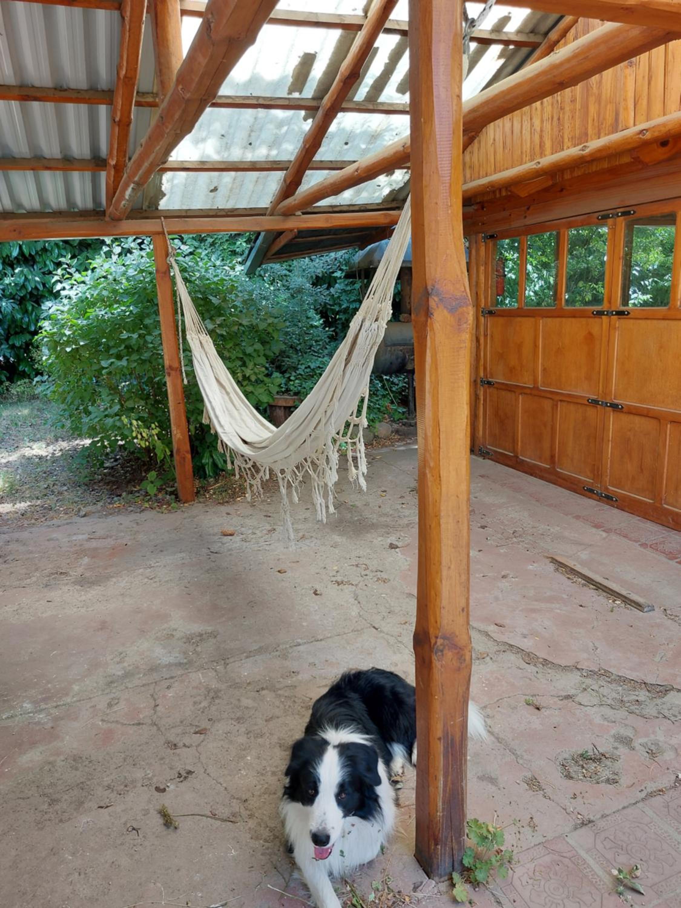 Casa para huéspedes Nilpi