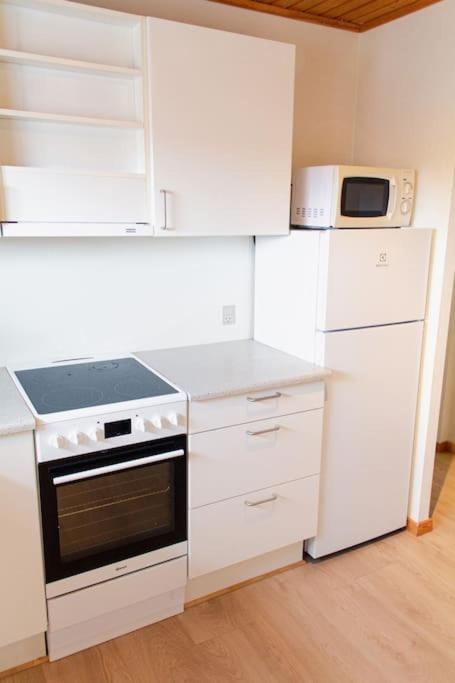 1 BR apartment for 4 guests in Tórshavn view 4