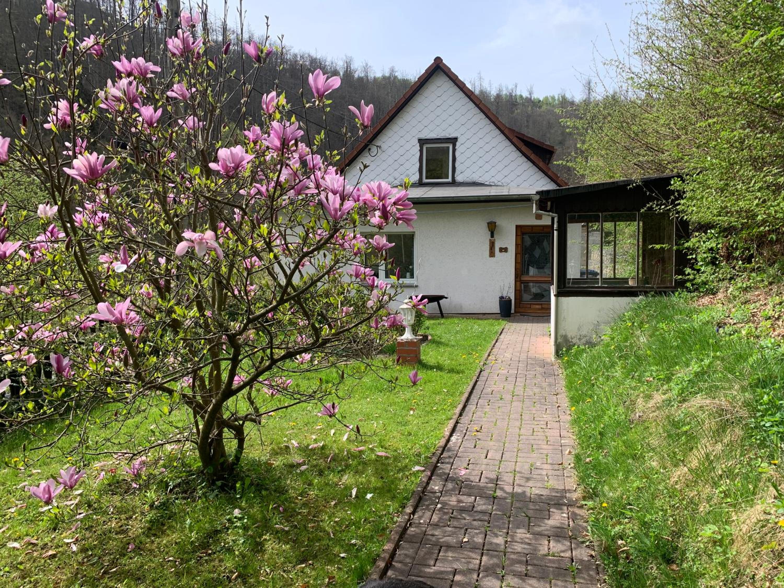 Ferienhaus Andrea am Bodetal