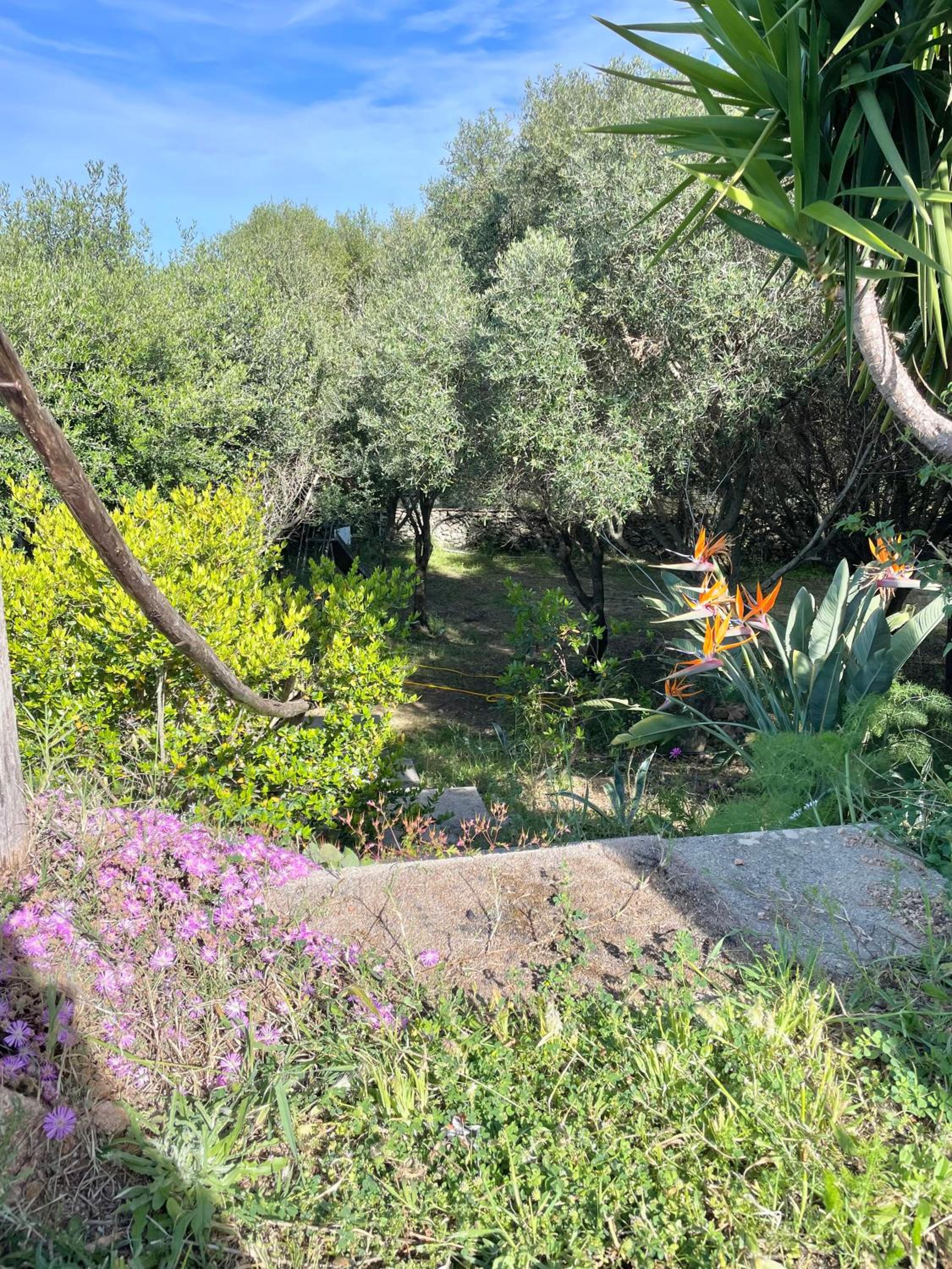 Casa Maga view 3
