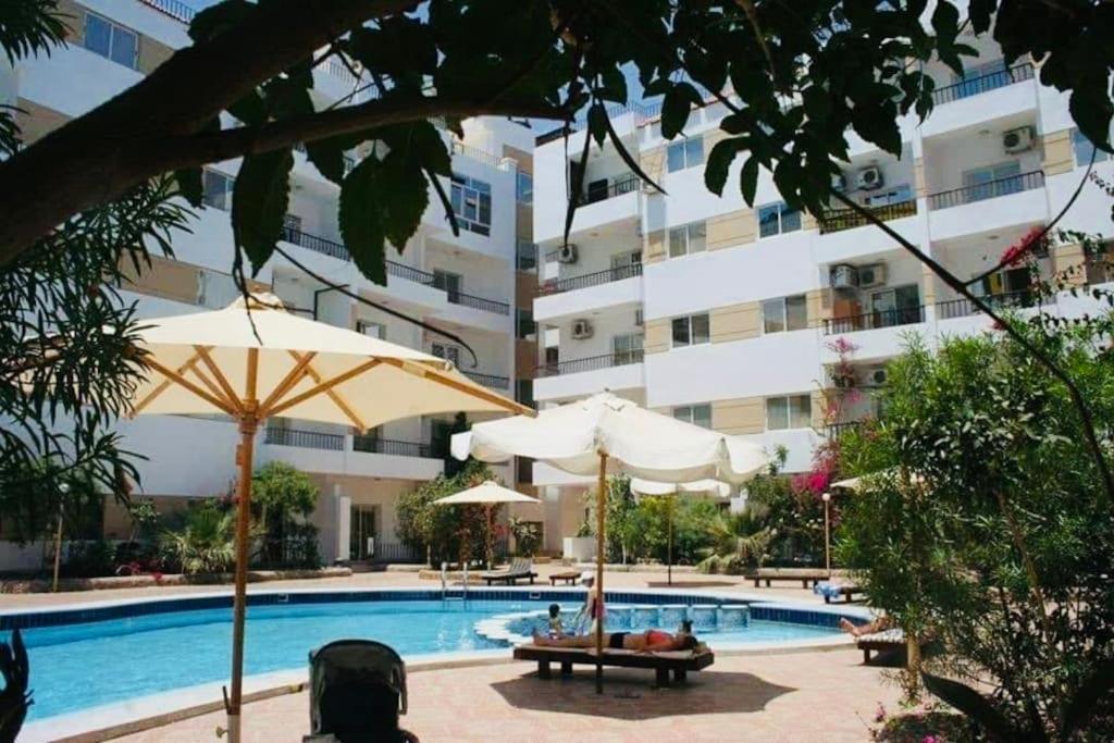 Lotus Elegant Pool View
