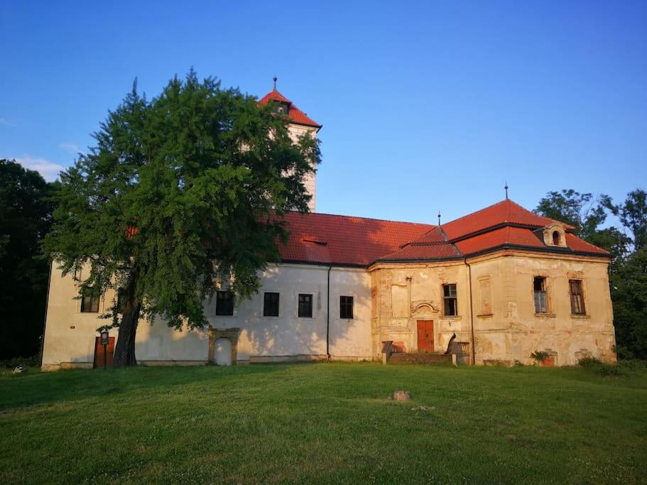 Villa Lobkovice: Gemütliches Gästehaus am Schloss