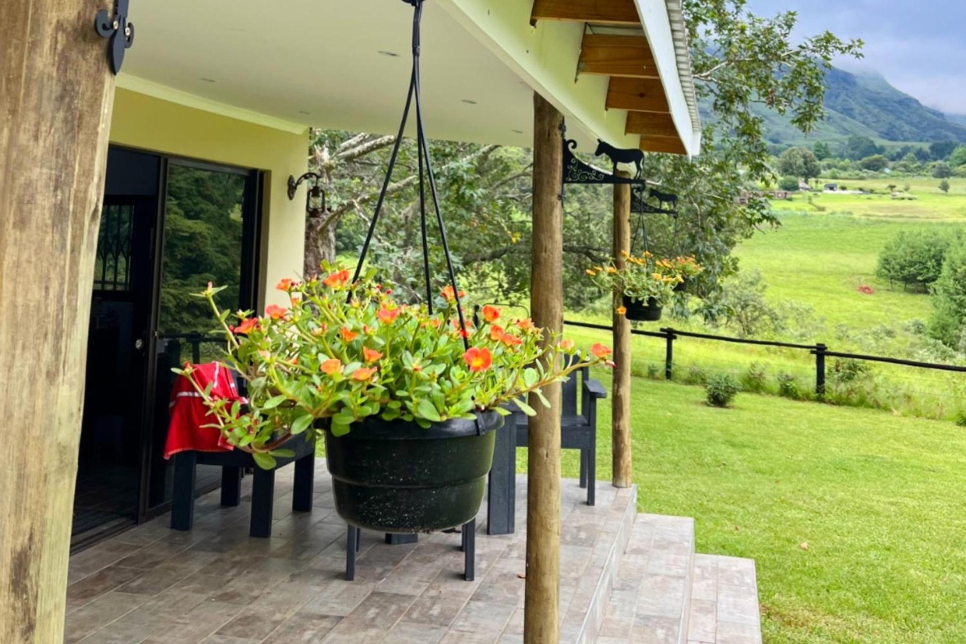 Nyathi Hideaway in the Berg
