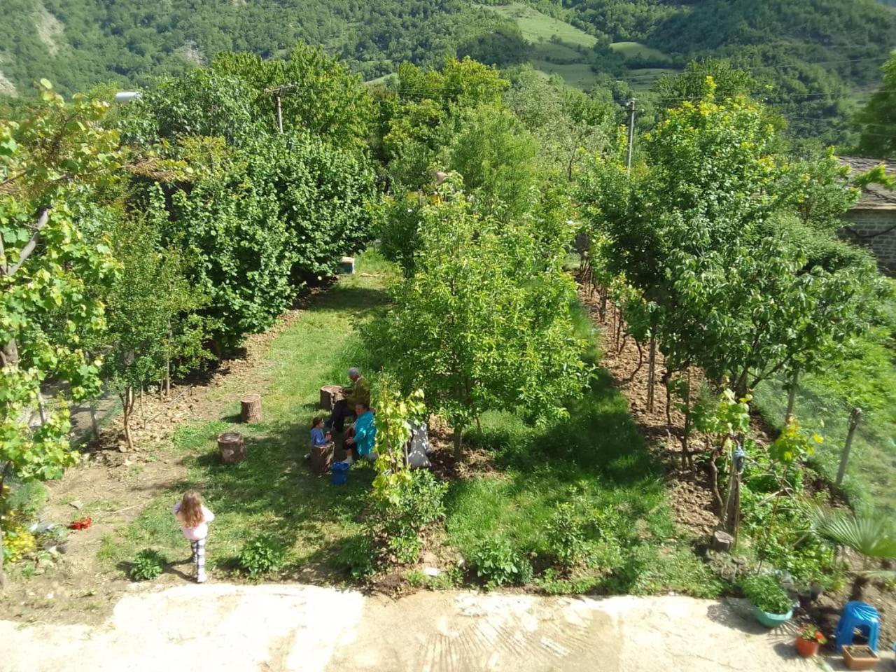 Bujtina Bego