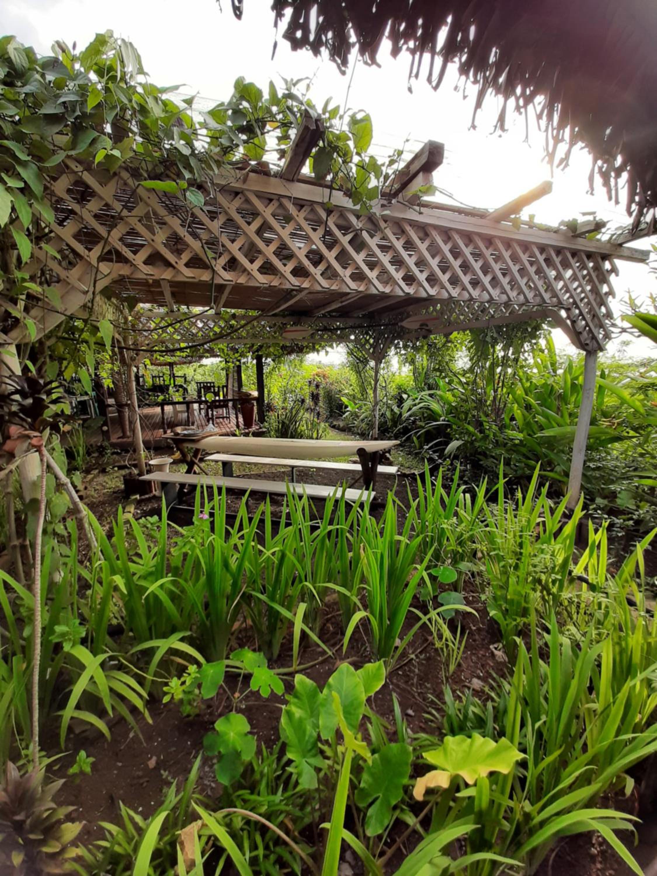 La Table d Alexandre Gîte de charme entre mangrove et mer