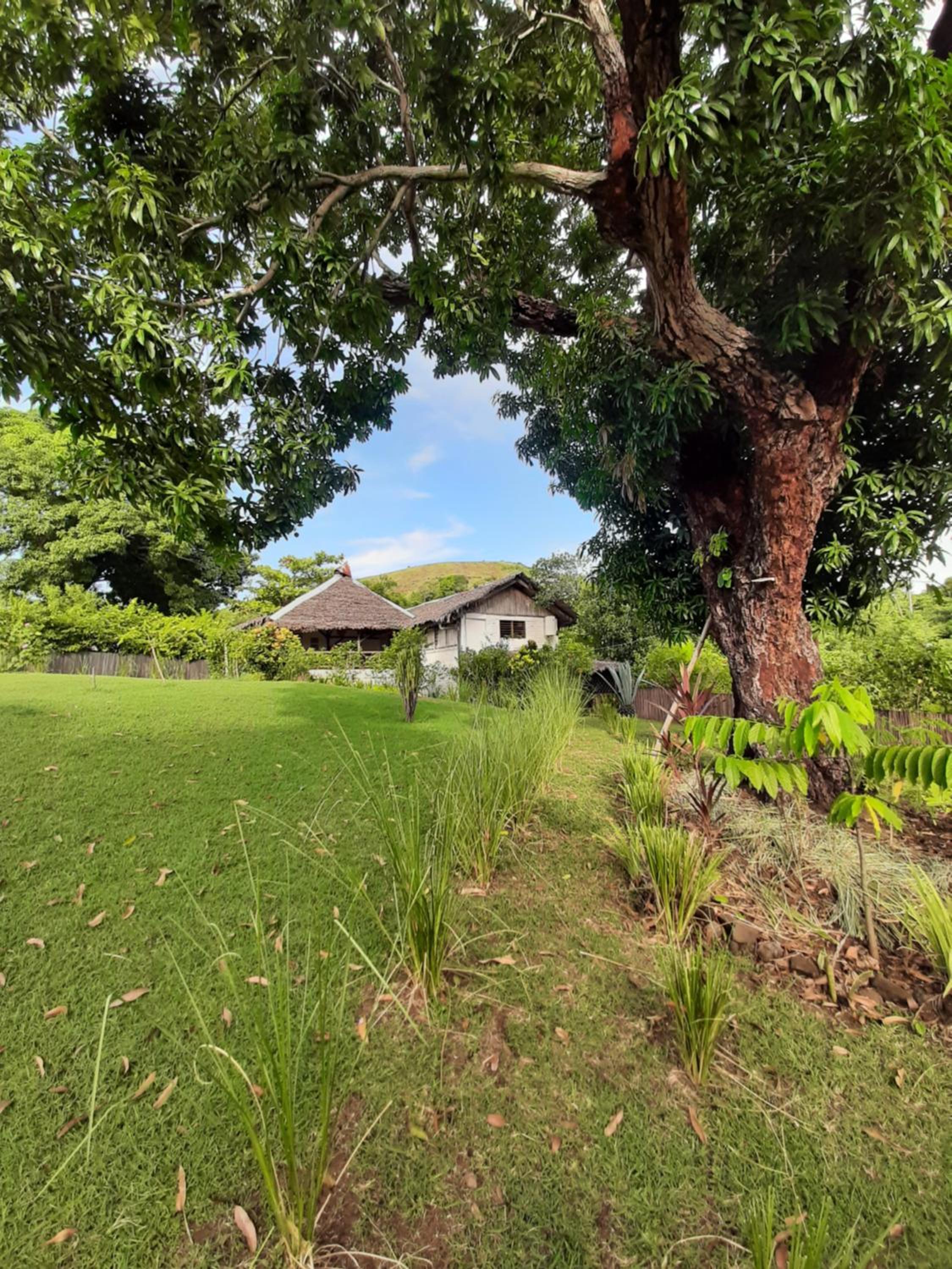 La Table d Alexandre Gîte de charme entre mangrove et mer