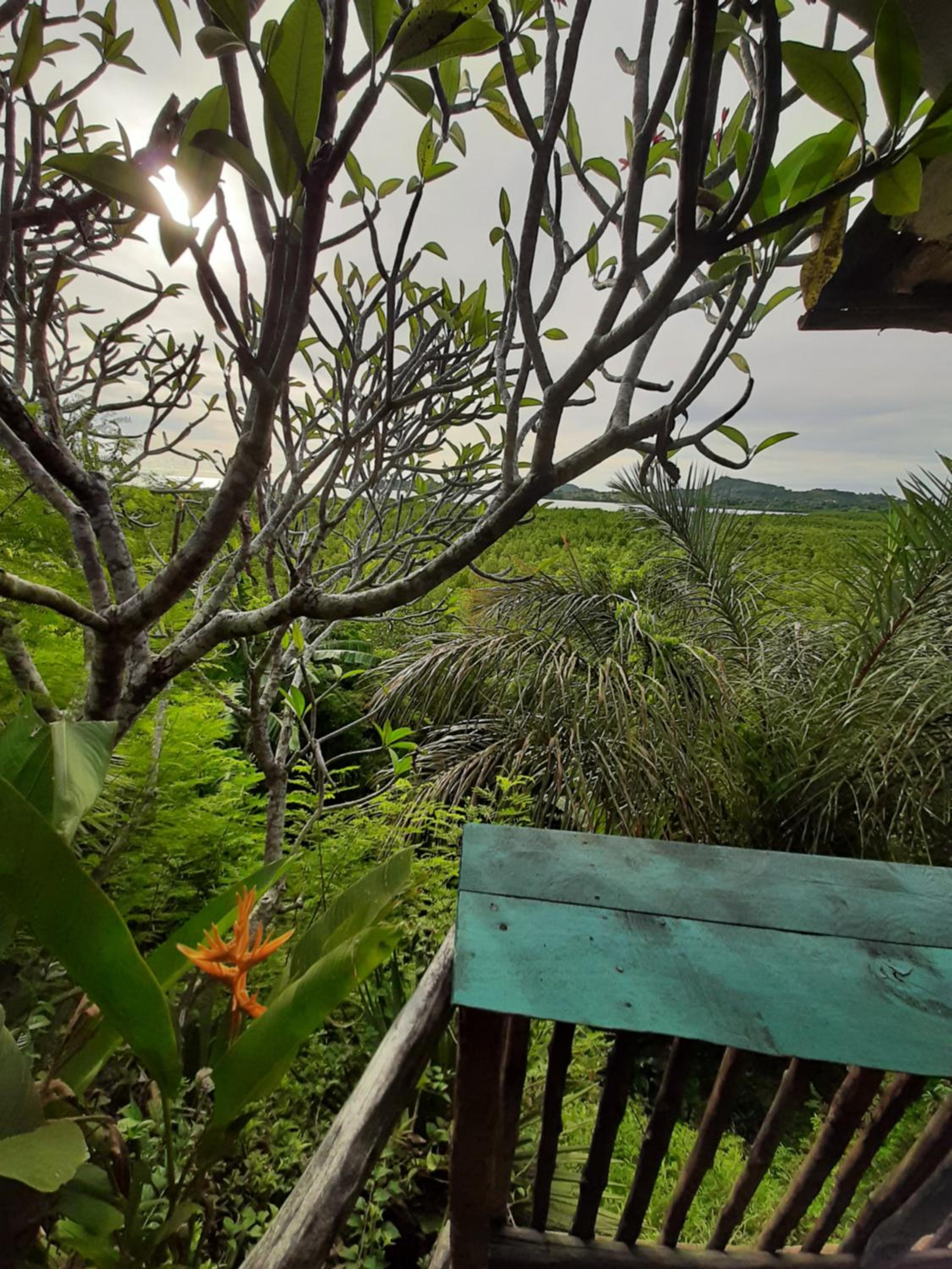 La Table d Alexandre Gîte de charme entre mangrove et mer