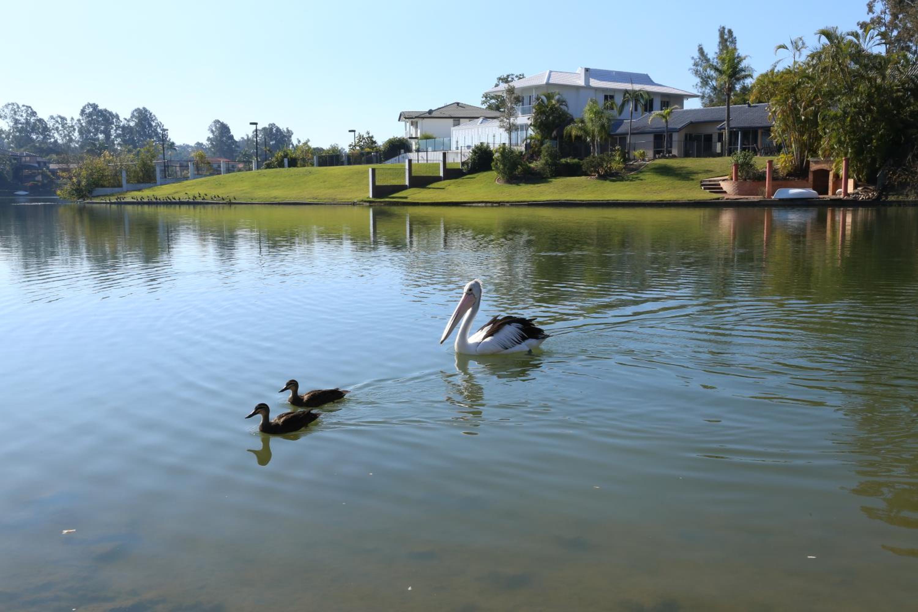 Serene Lakefront Villa, Westlake, Brisbane