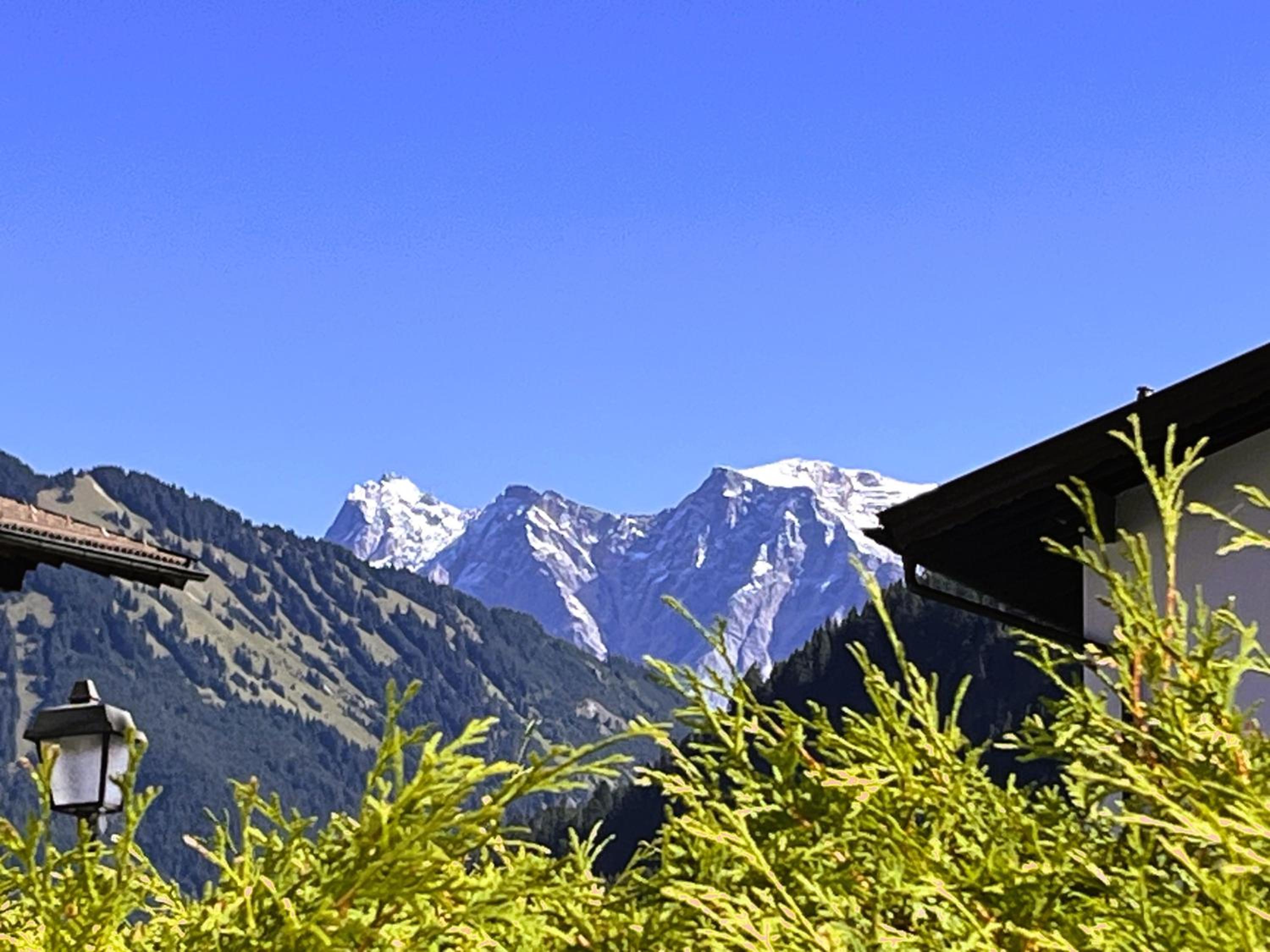 Zugspitzblick