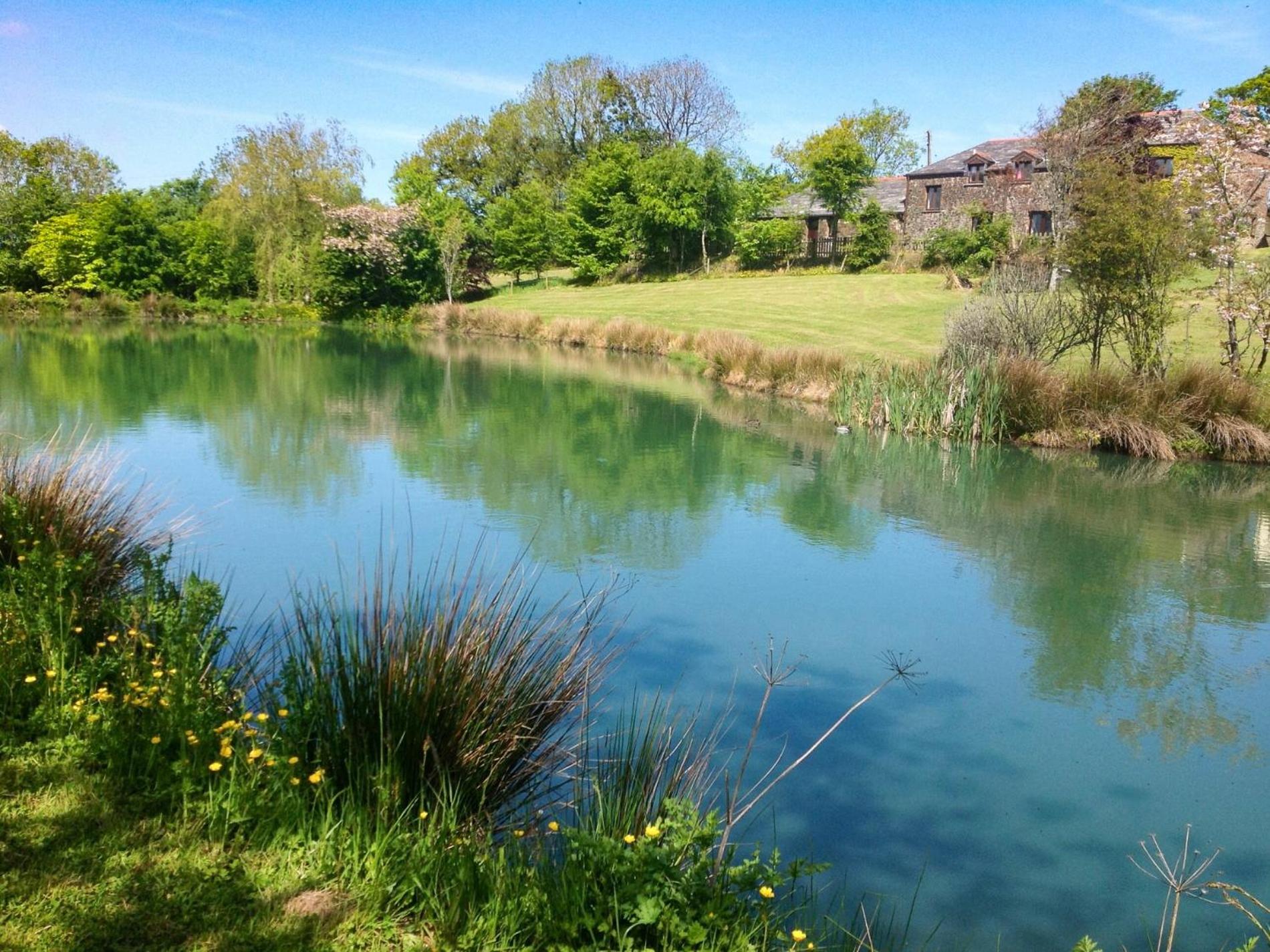 4 Bed in Holsworthy oc-lamer