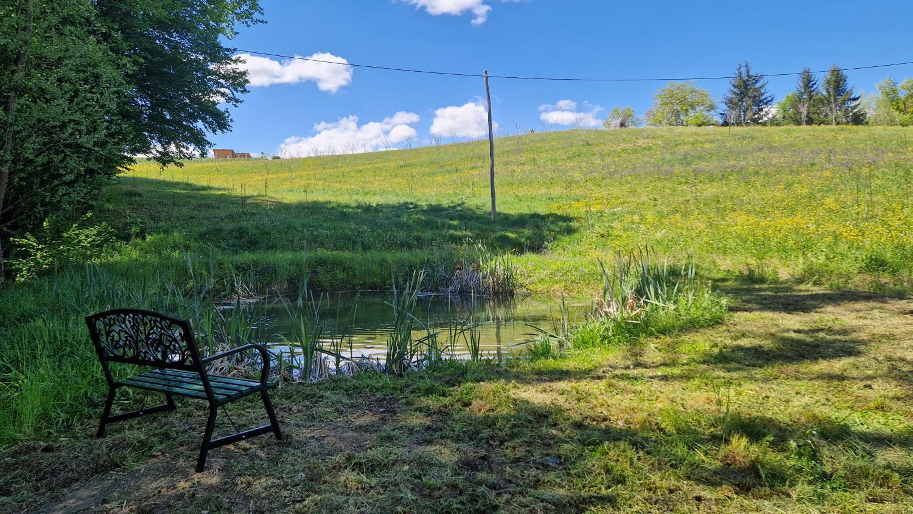 Nature Cottage in Gabrce with sauna view 2