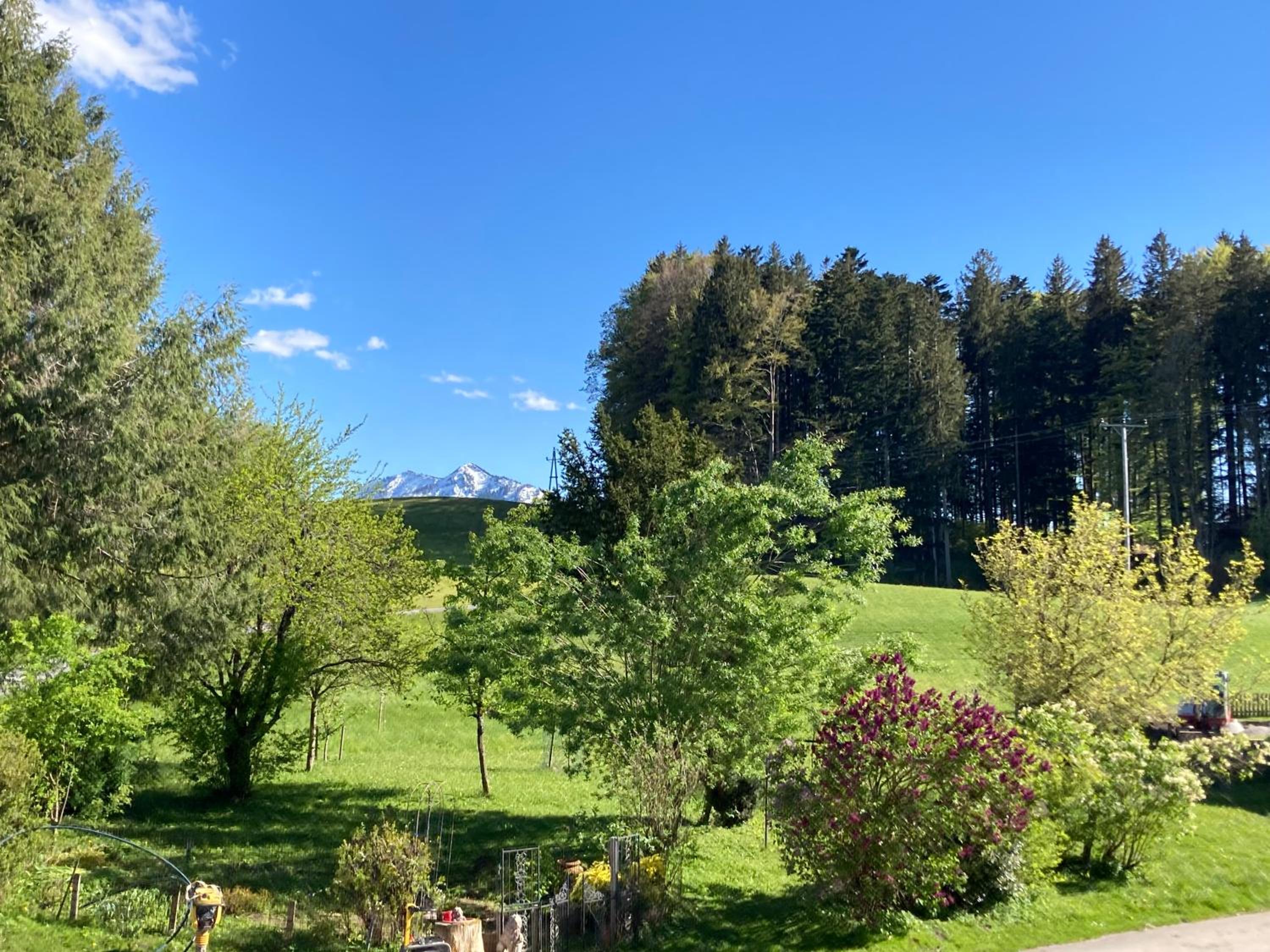 Obereggut