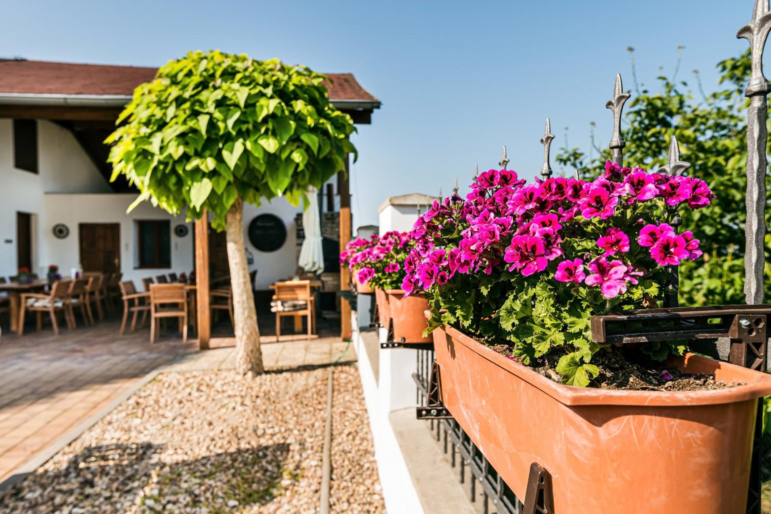 Resort Kovács