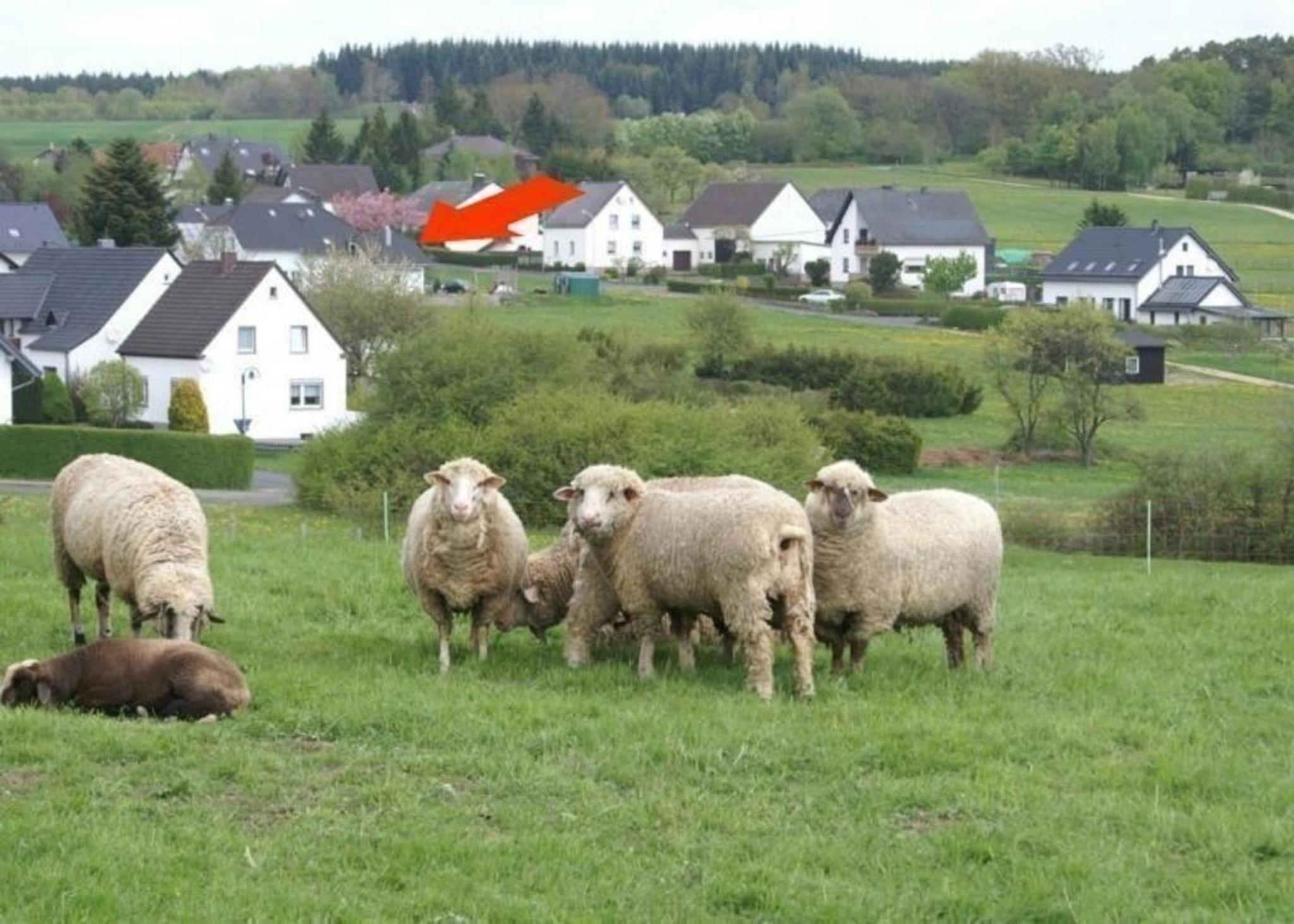 Gemütliche Maisonette Wohnung Seelenblick