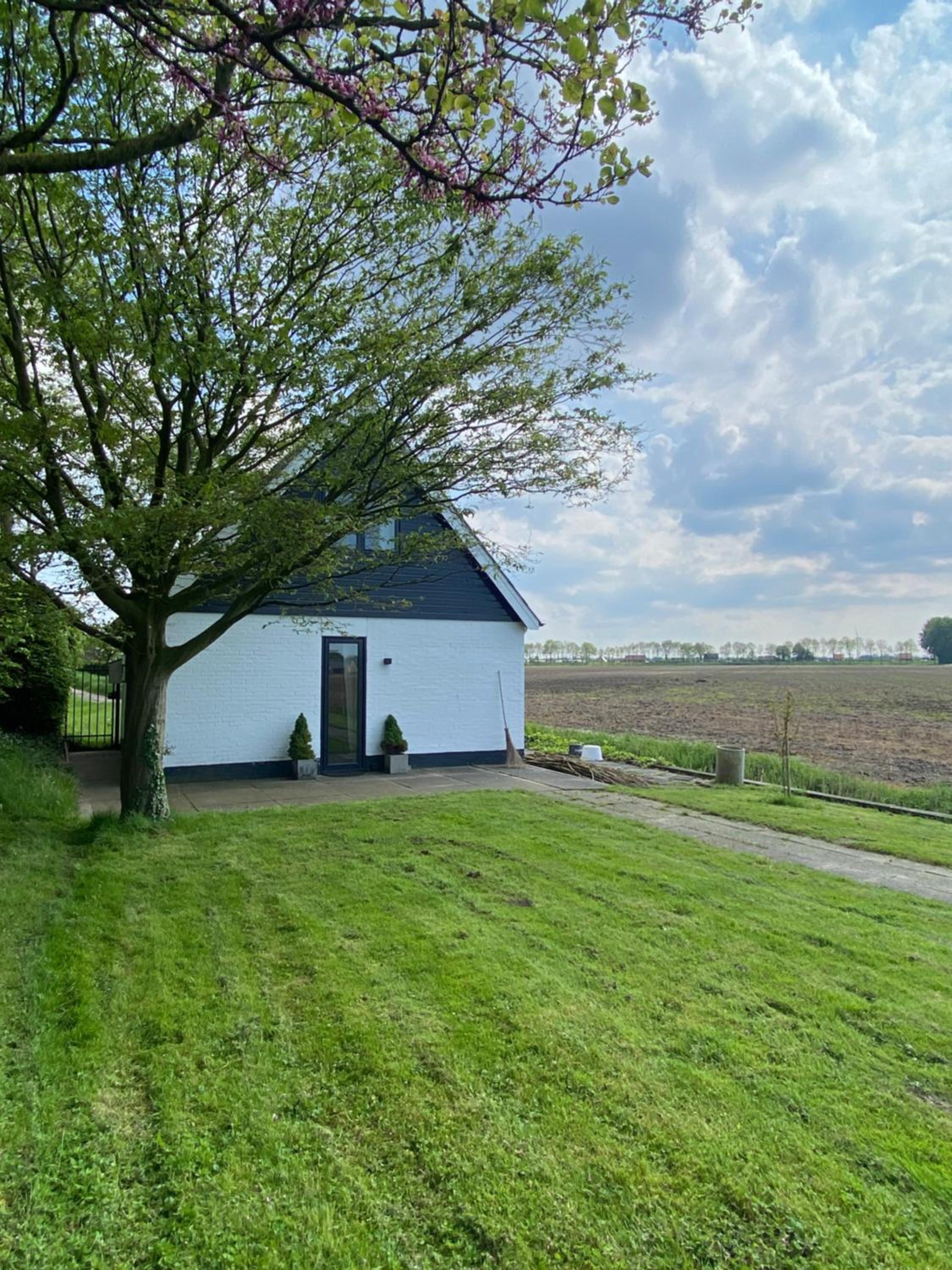Guesthouse The White House - gehele huisje view 2