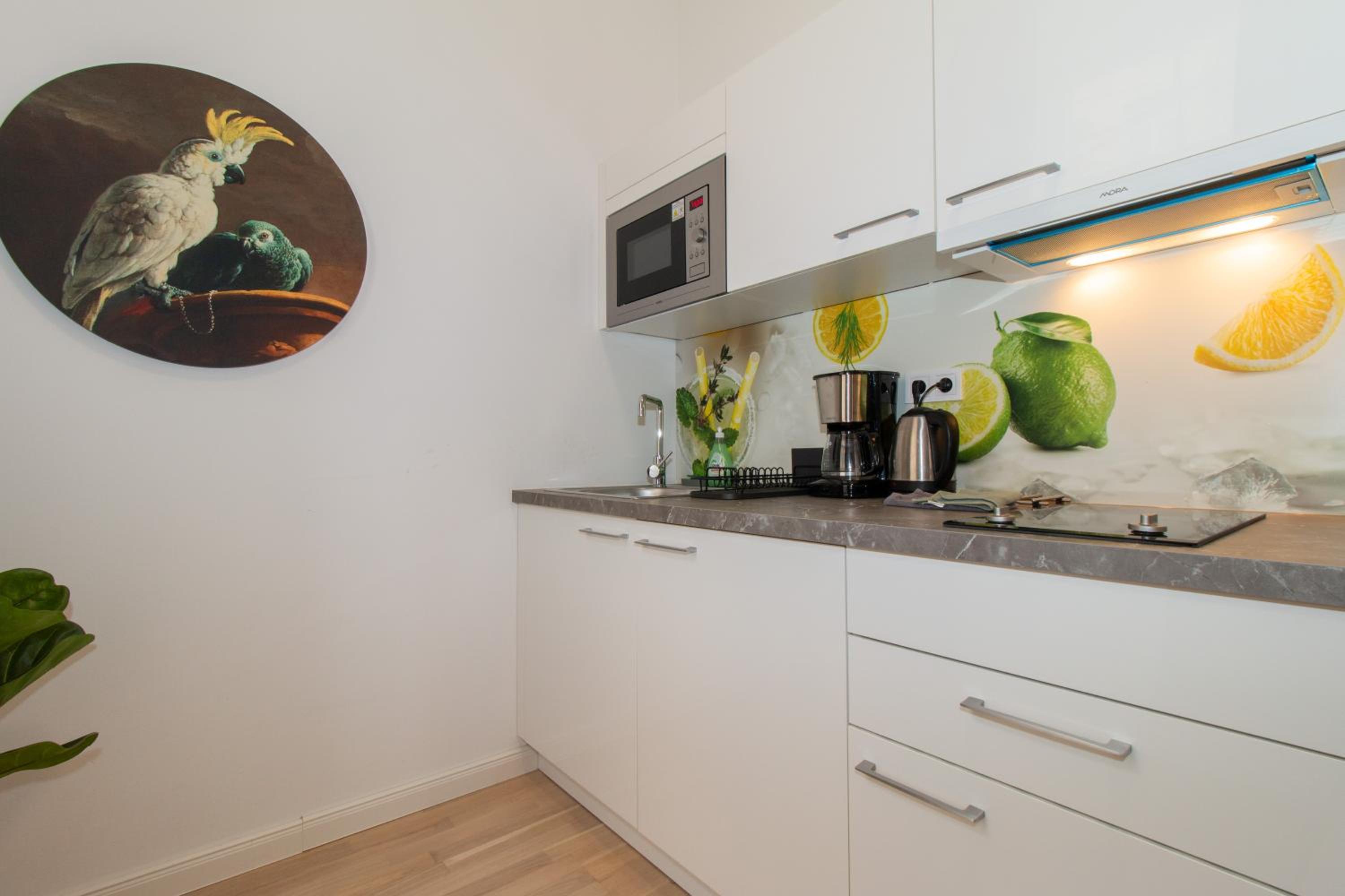 Washingtonova CR apartments