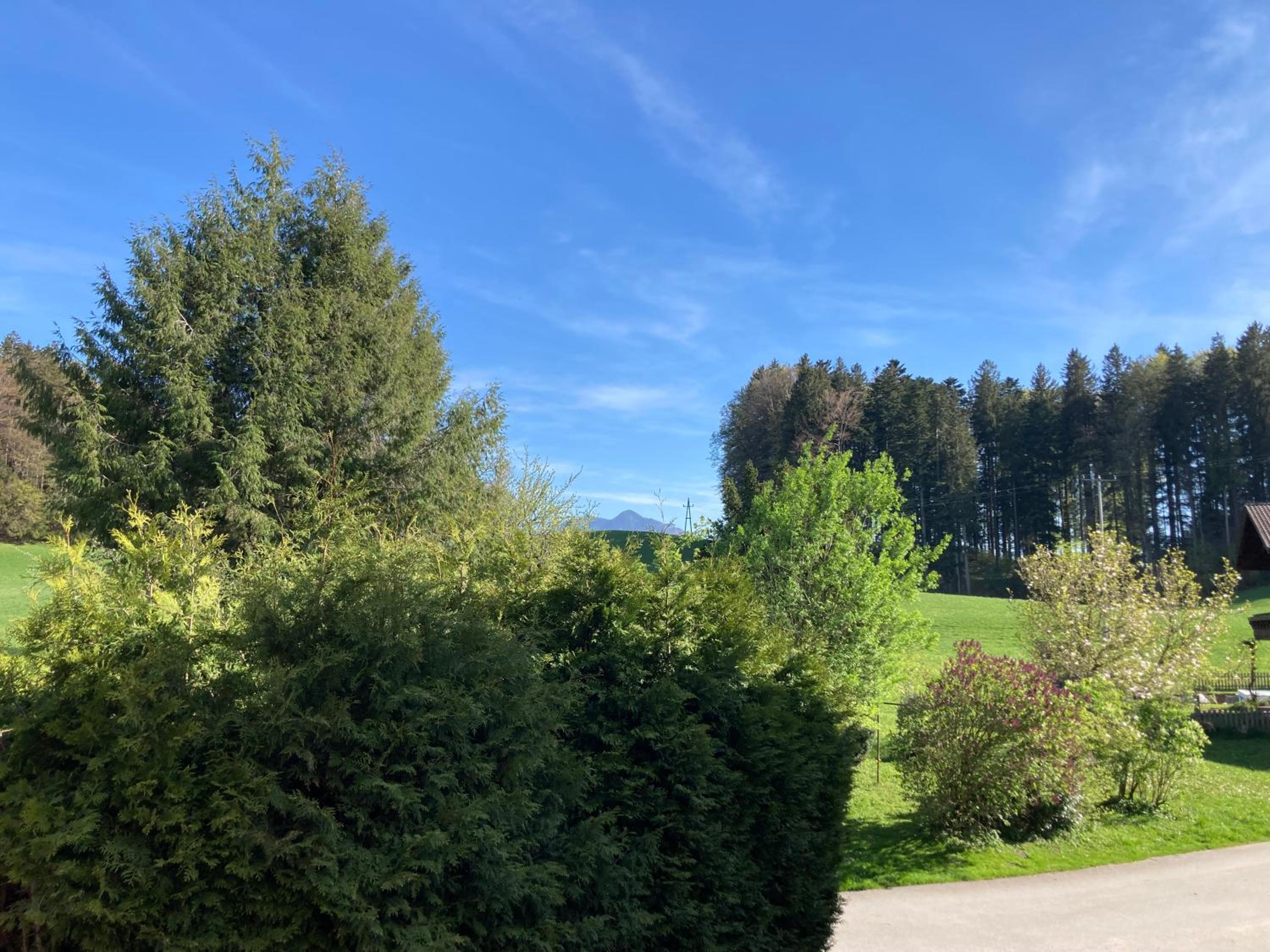 Obereggut