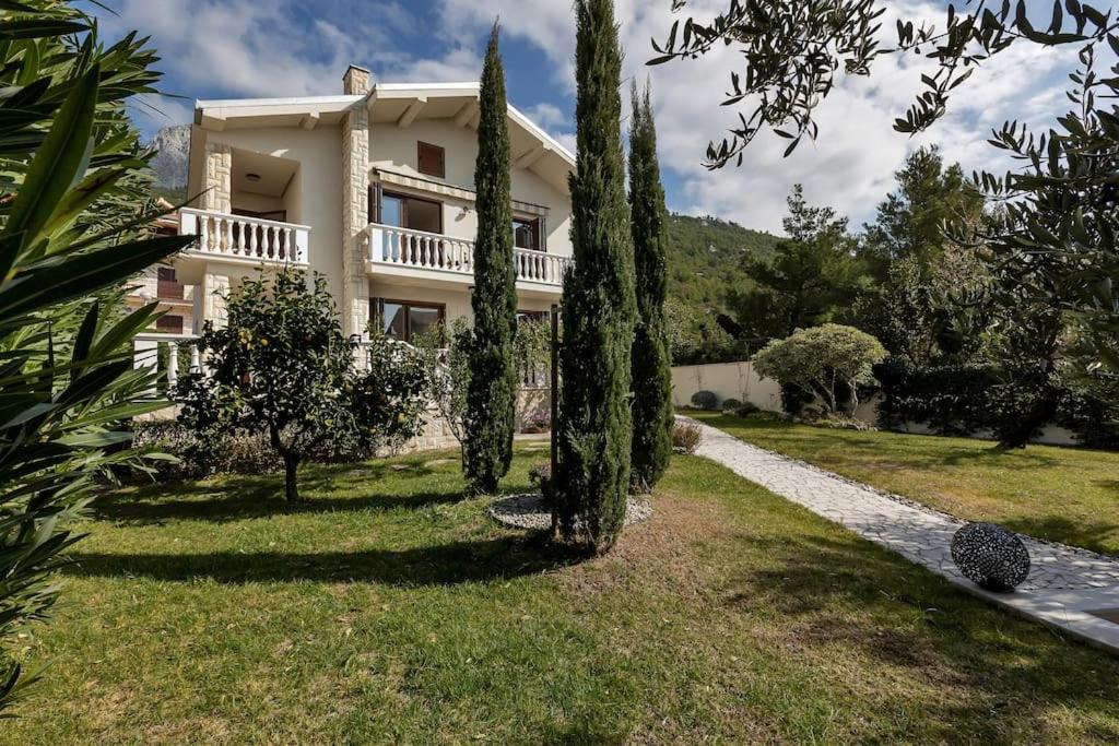Villa Markota!200m from the SEA! view 3
