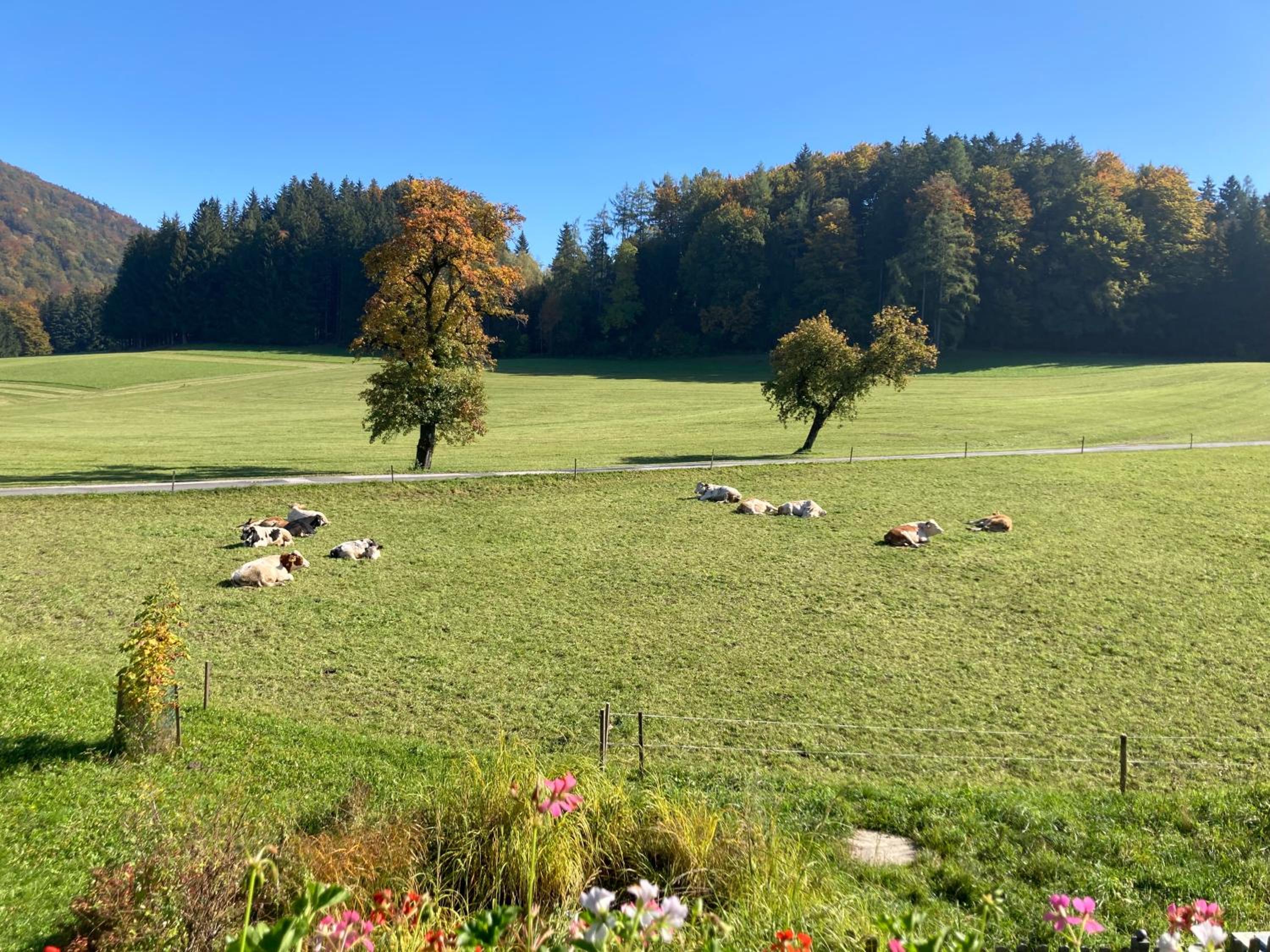 Obereggut