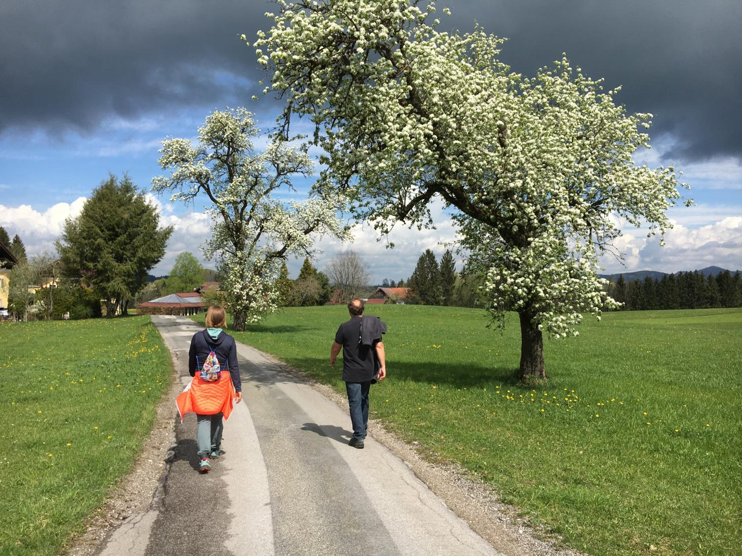 Obereggut