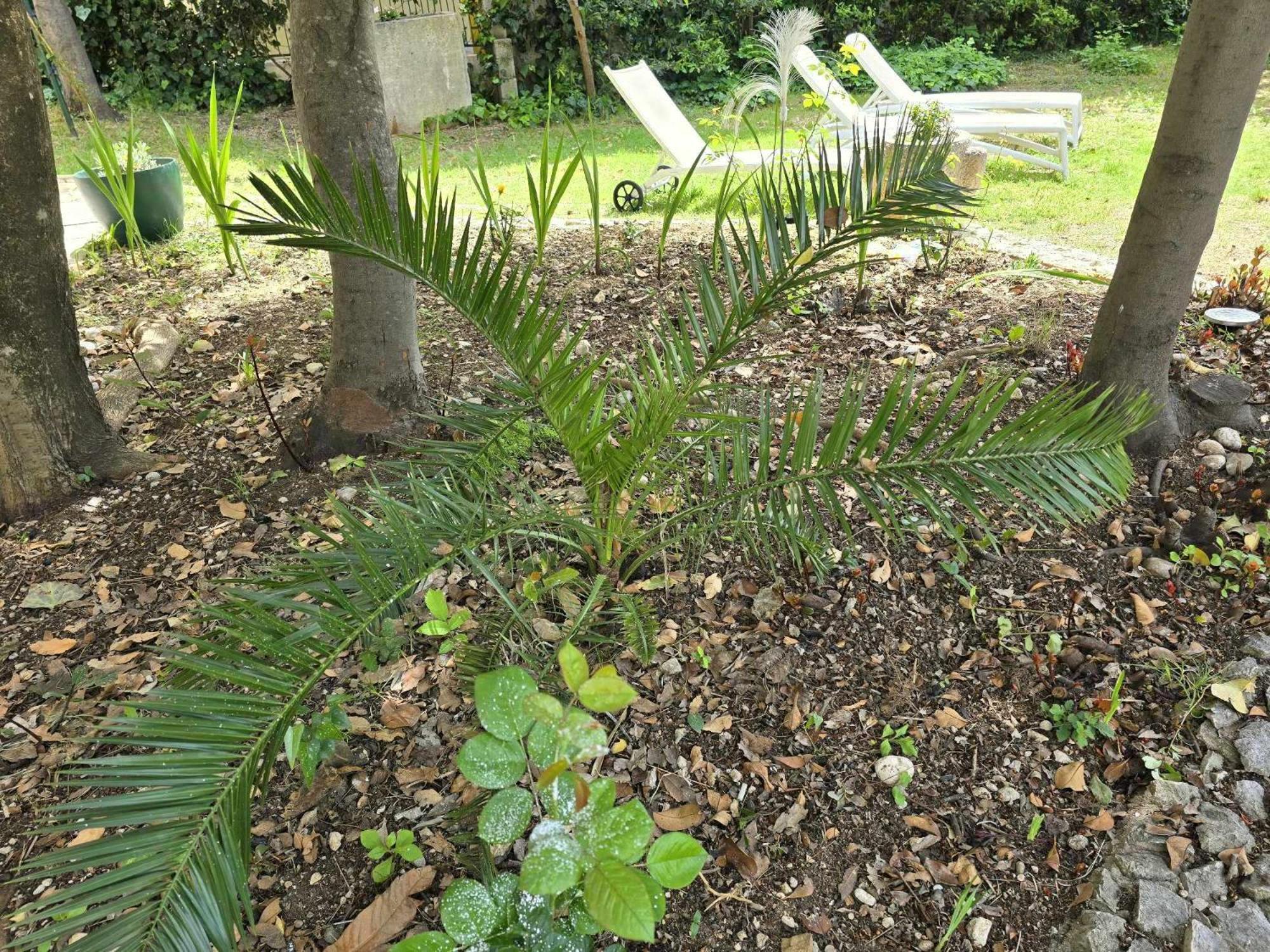 Photo 43